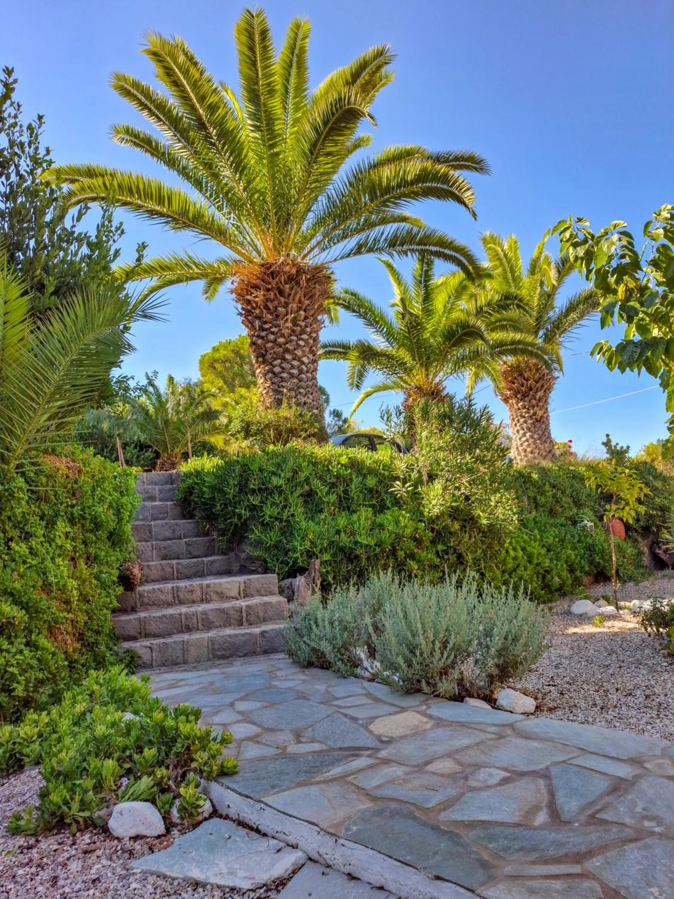 Vagia Traditional, Aegina Island