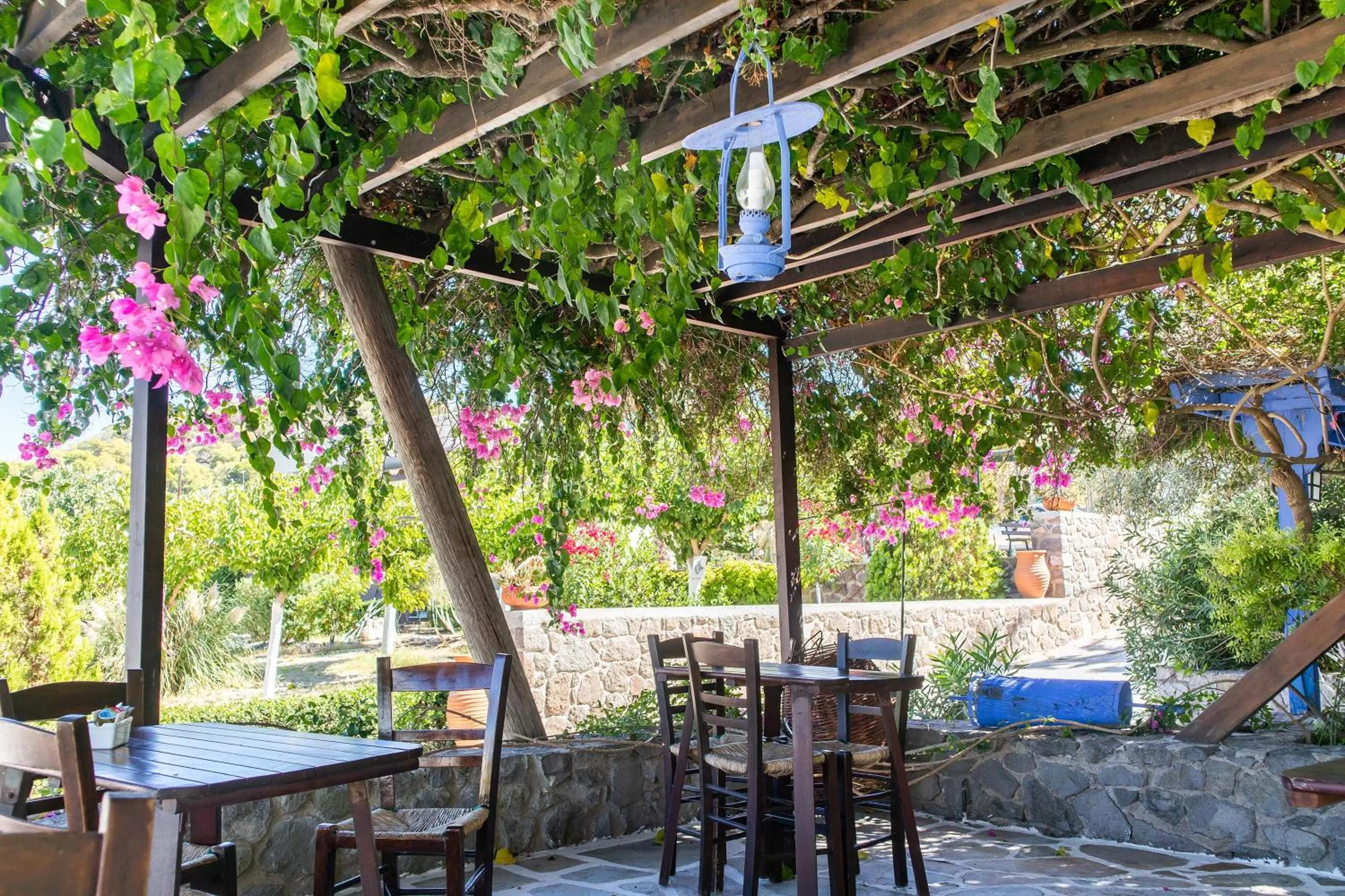 Restaurant/places to eat in Vagia Traditional, Aegina Island