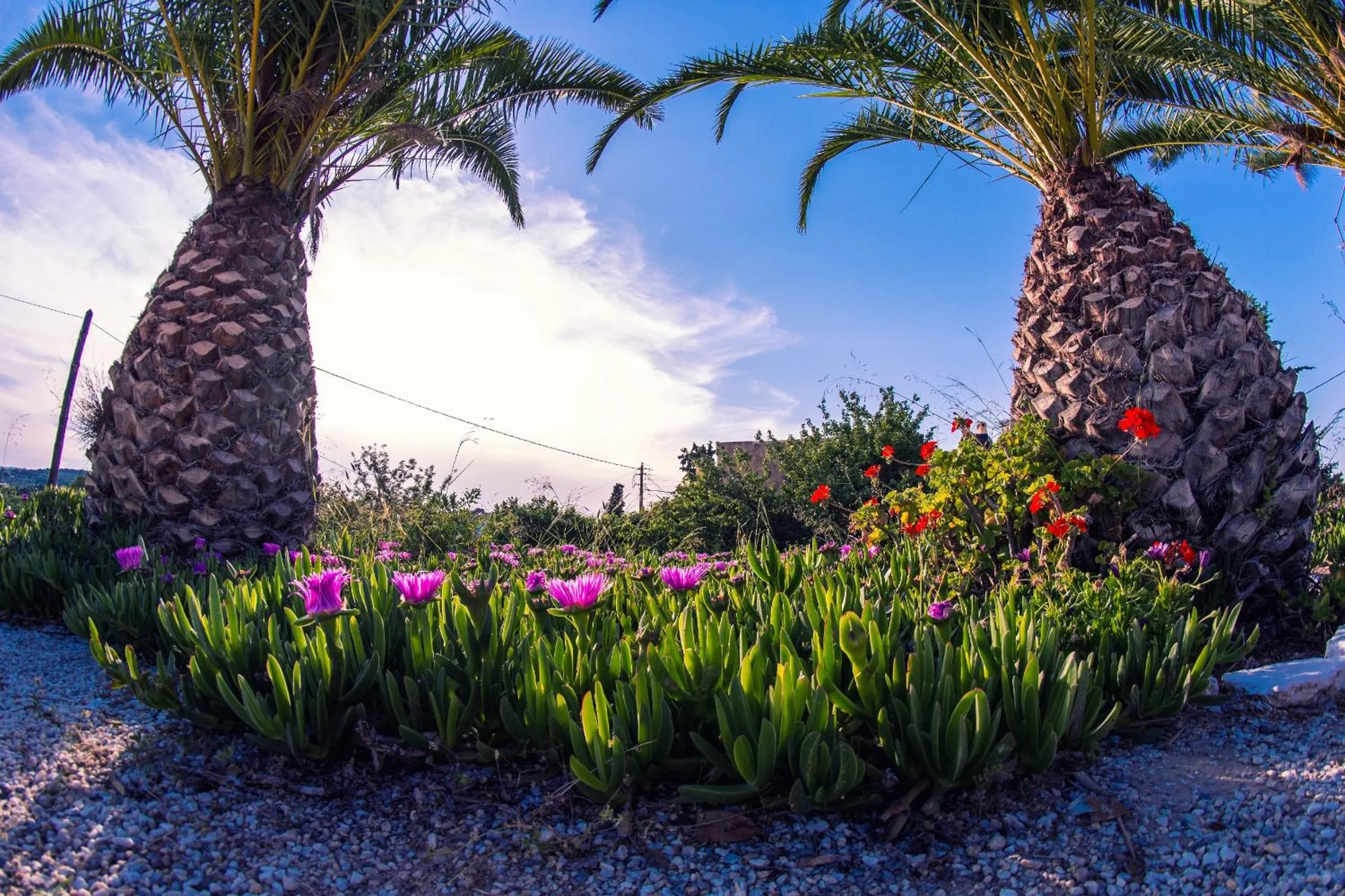 Patio in Vagia Traditional, Aegina Island
