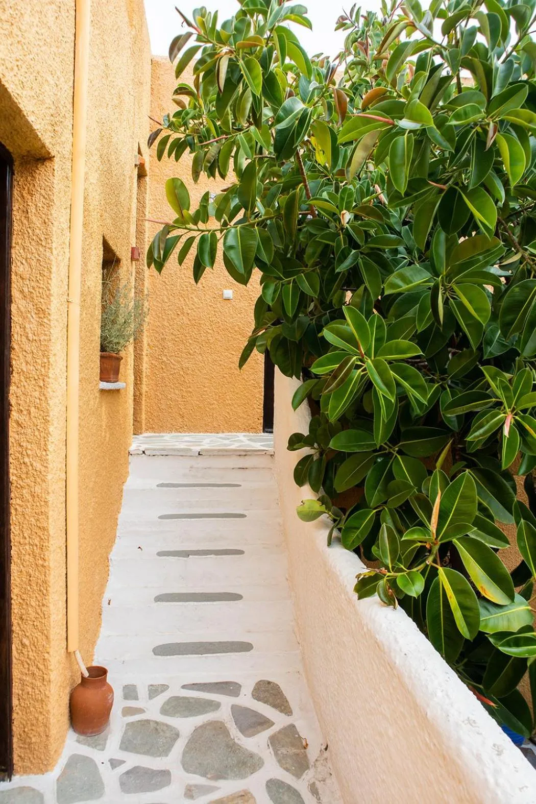 Vagia Traditional, Aegina Island