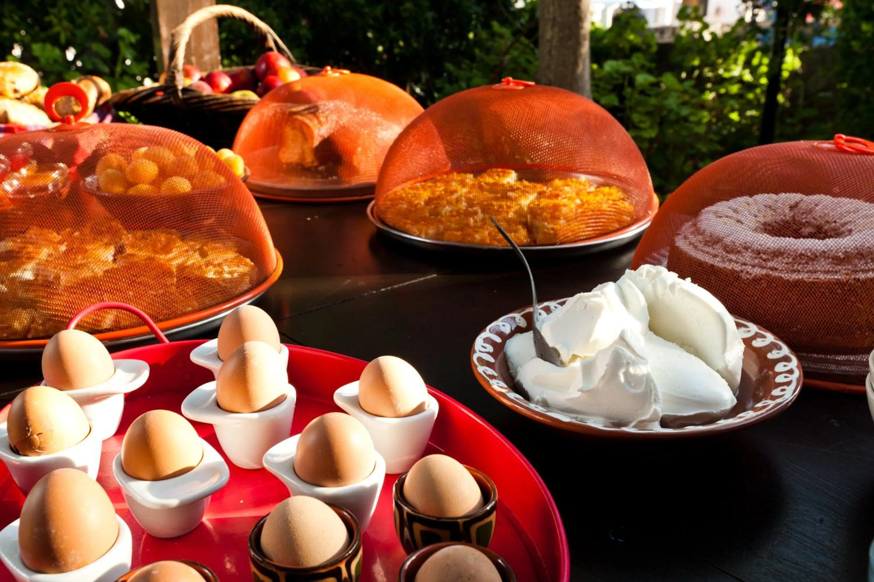 Garden in Vagia Traditional, Aegina Island