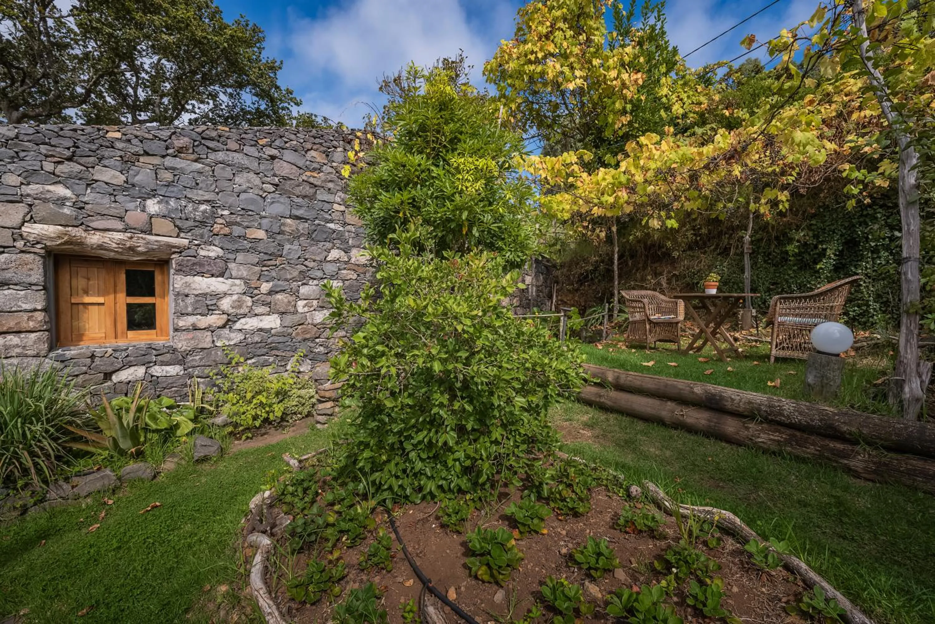 Garden in Casas da Levada