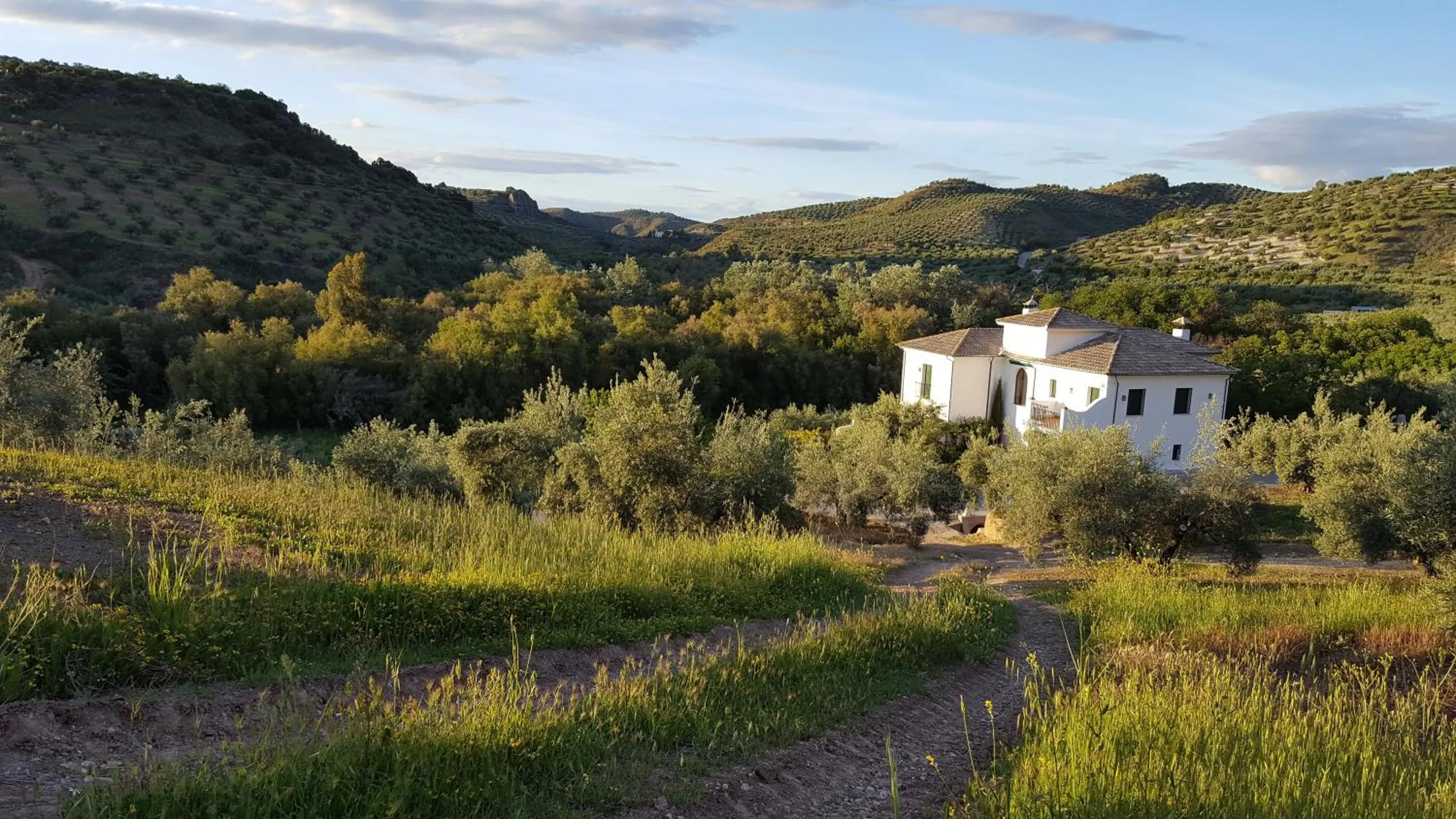 Natural landscape in Casa Olea