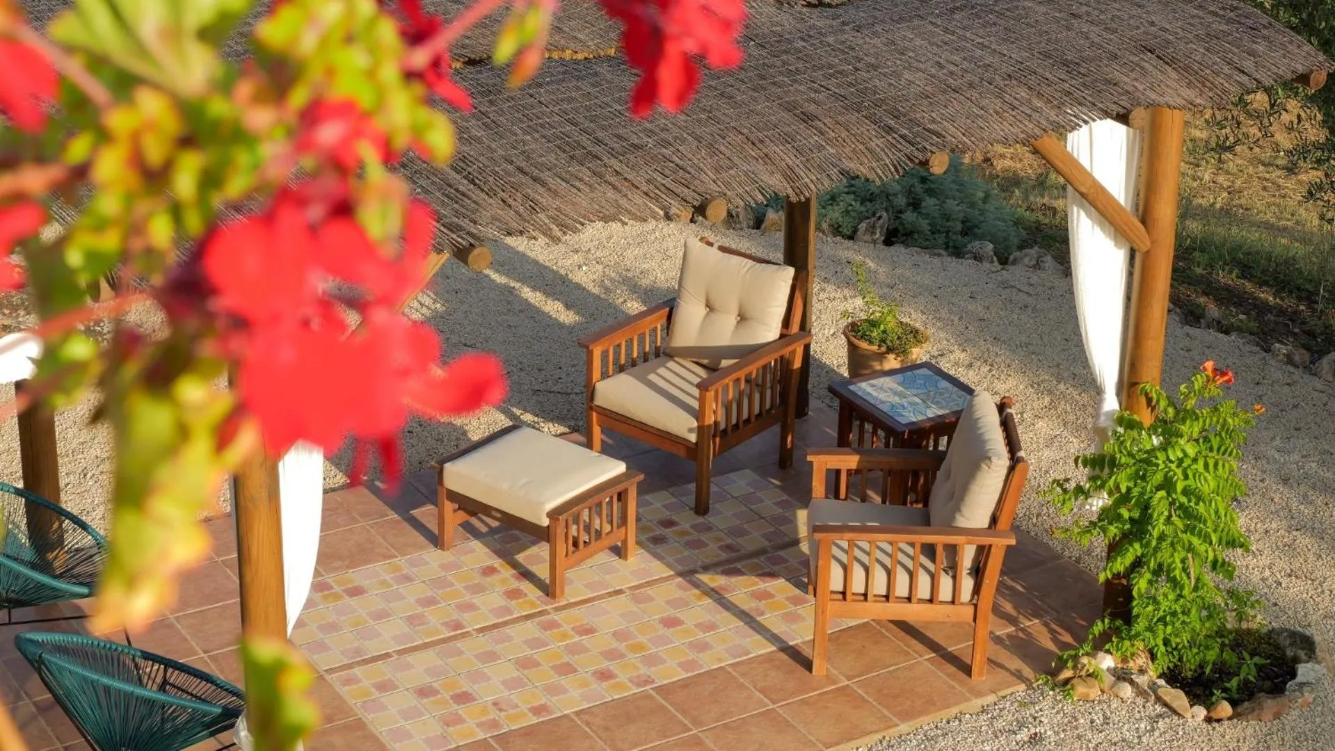 Garden in Casa Olea