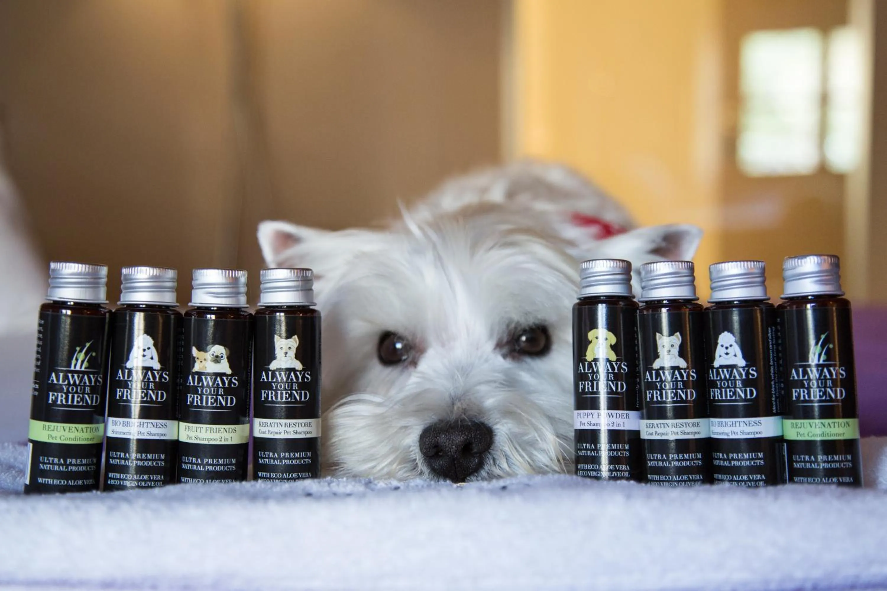 Pets in Hydrama Grand Hotel