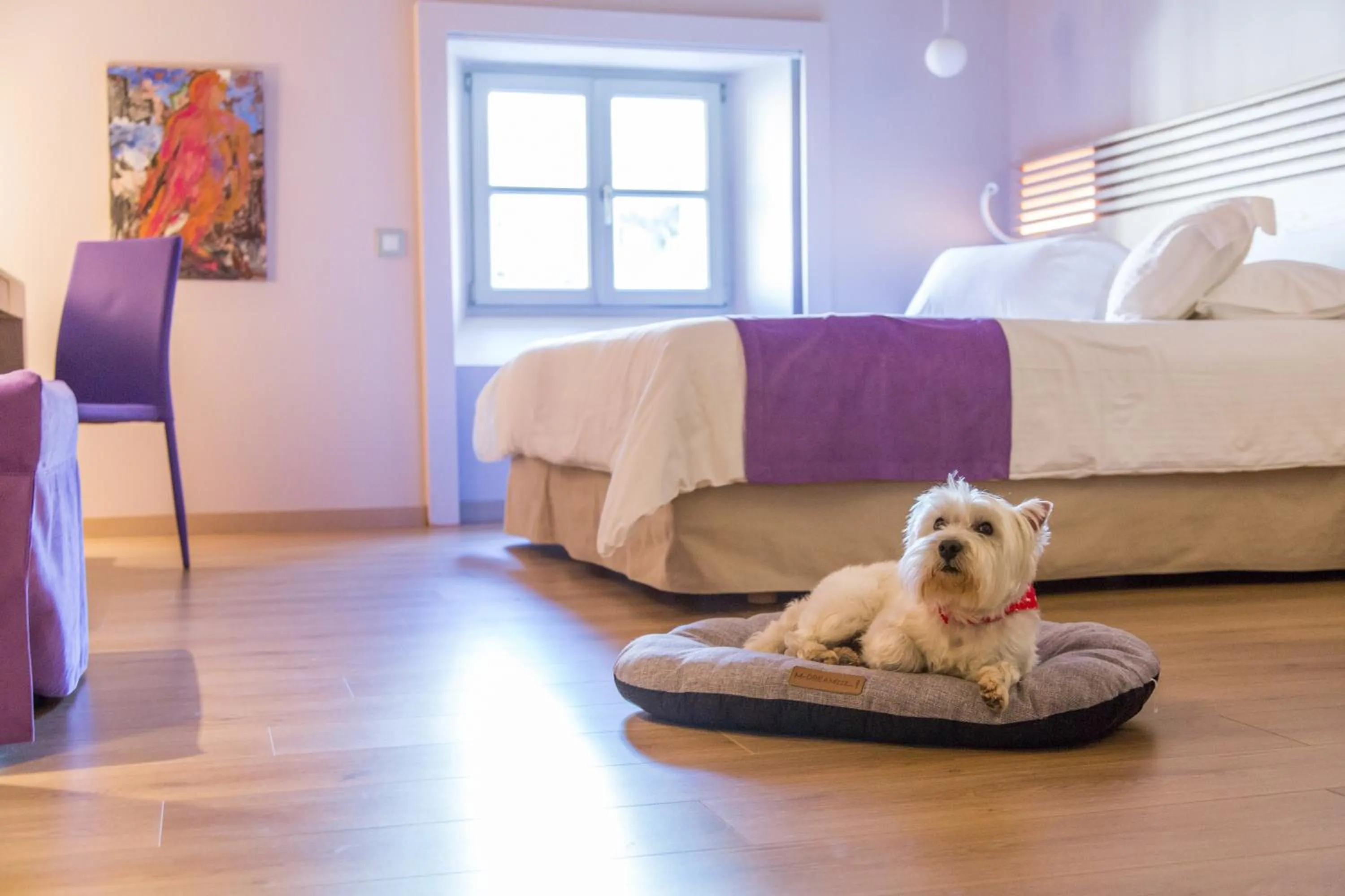 Pets, Bed in Hydrama Grand Hotel