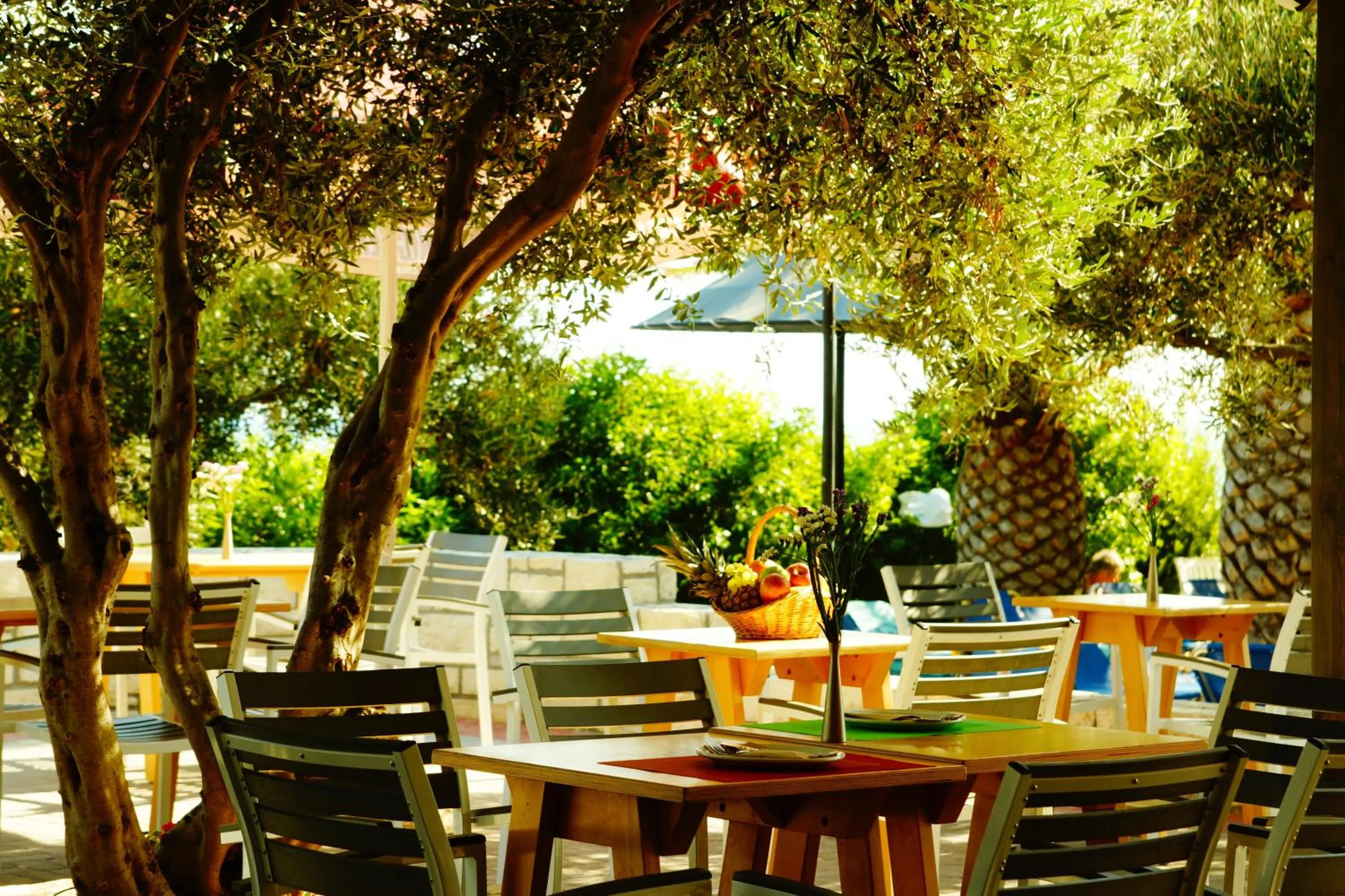 Restaurant/places to eat in Mediterraneo Hotel
