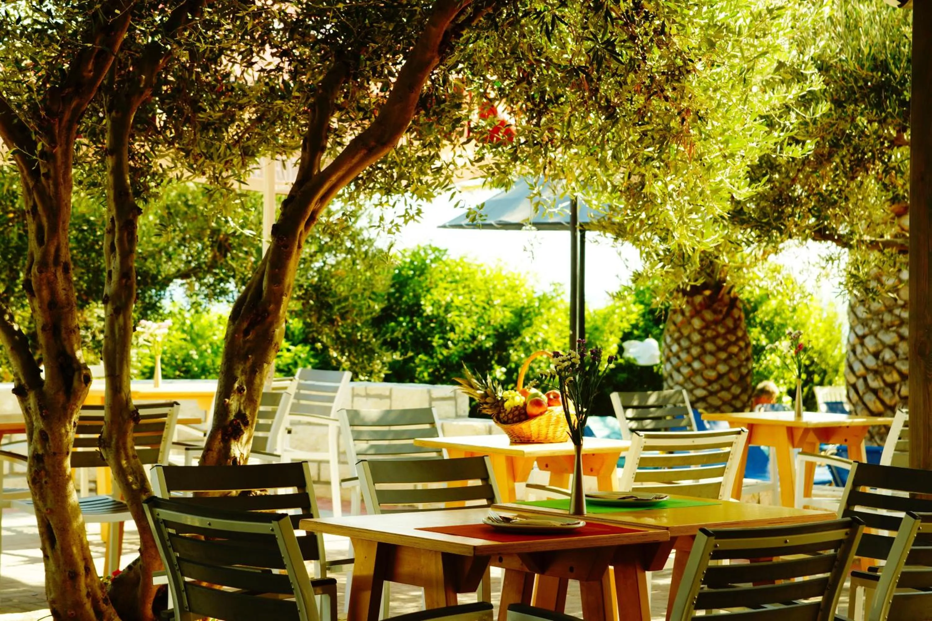Restaurant/places to eat in Mediterraneo Hotel