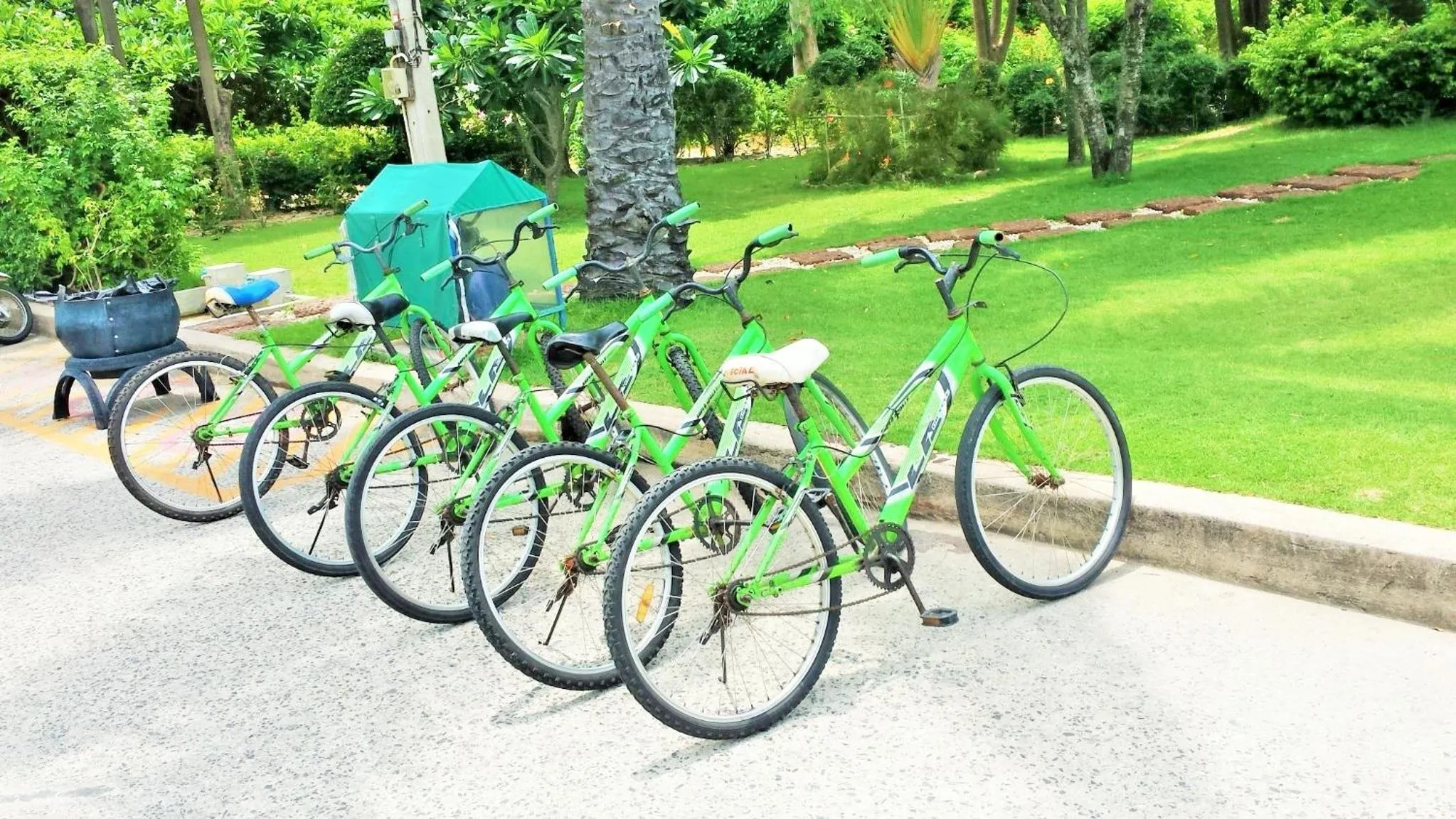 Garden in Sea View Beachfront Condos Pattaya Jomtien Beach