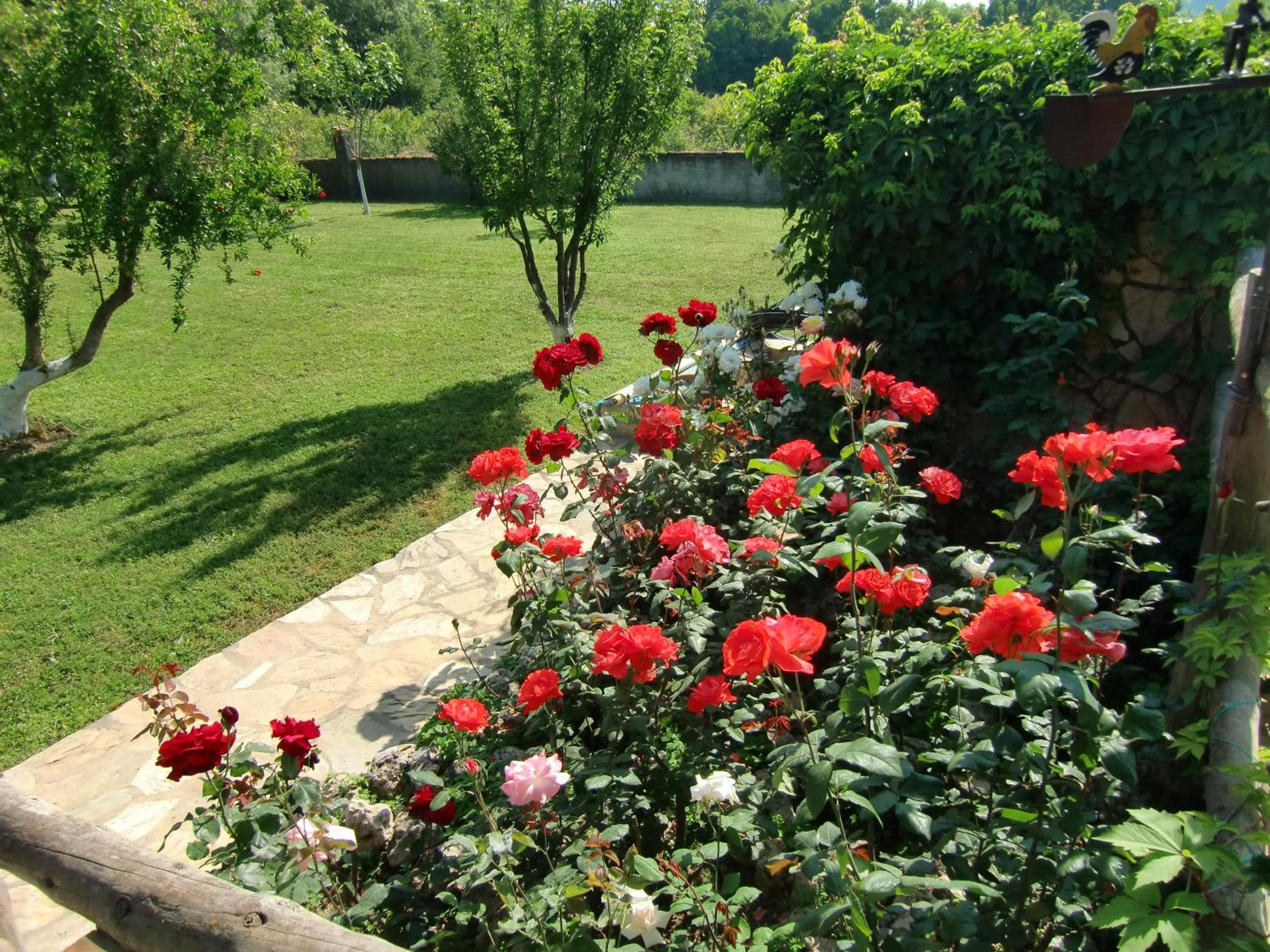 Garden view in Sedir Resort - Hotel Rooms, Bungalows & Suites