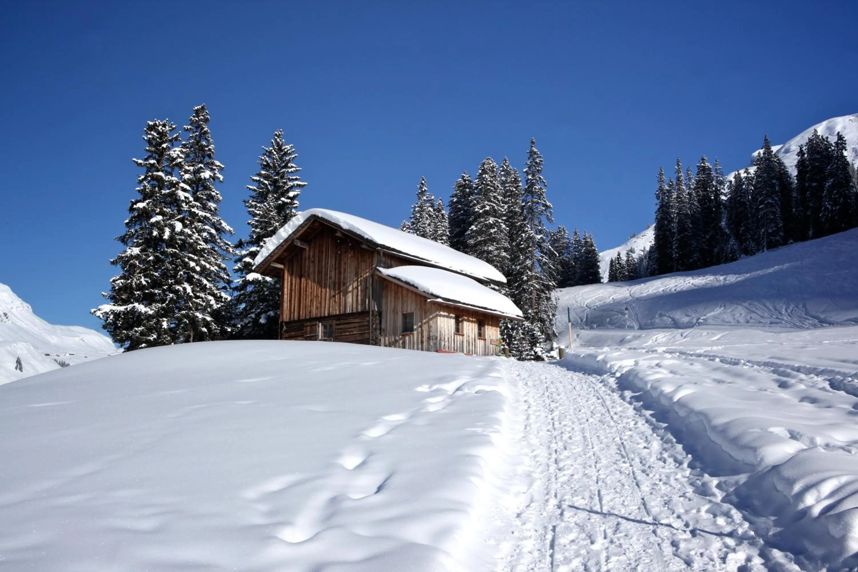 Area and facilities in Hotel Edelweiss