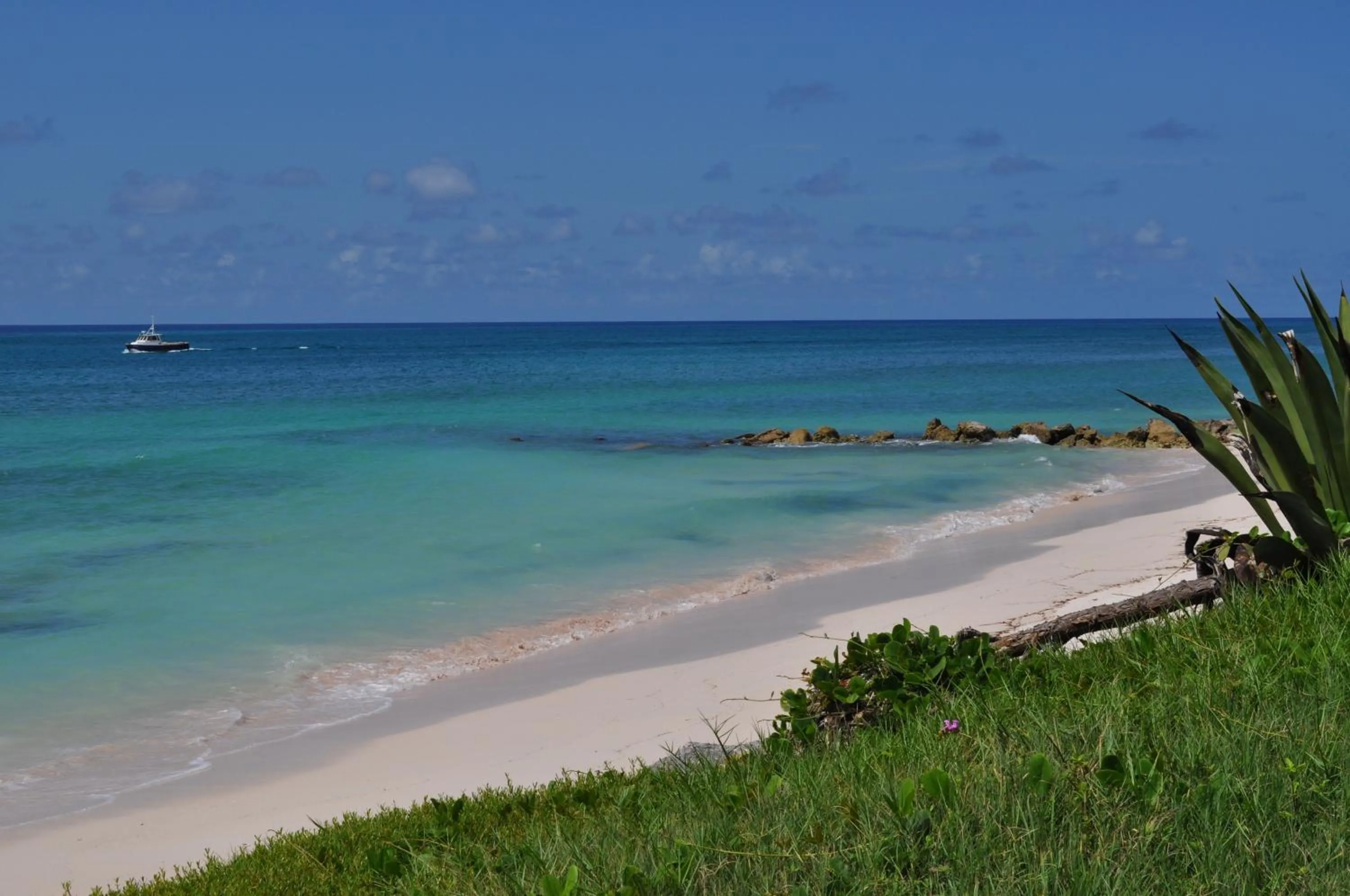 Beach in White Coconut Studio