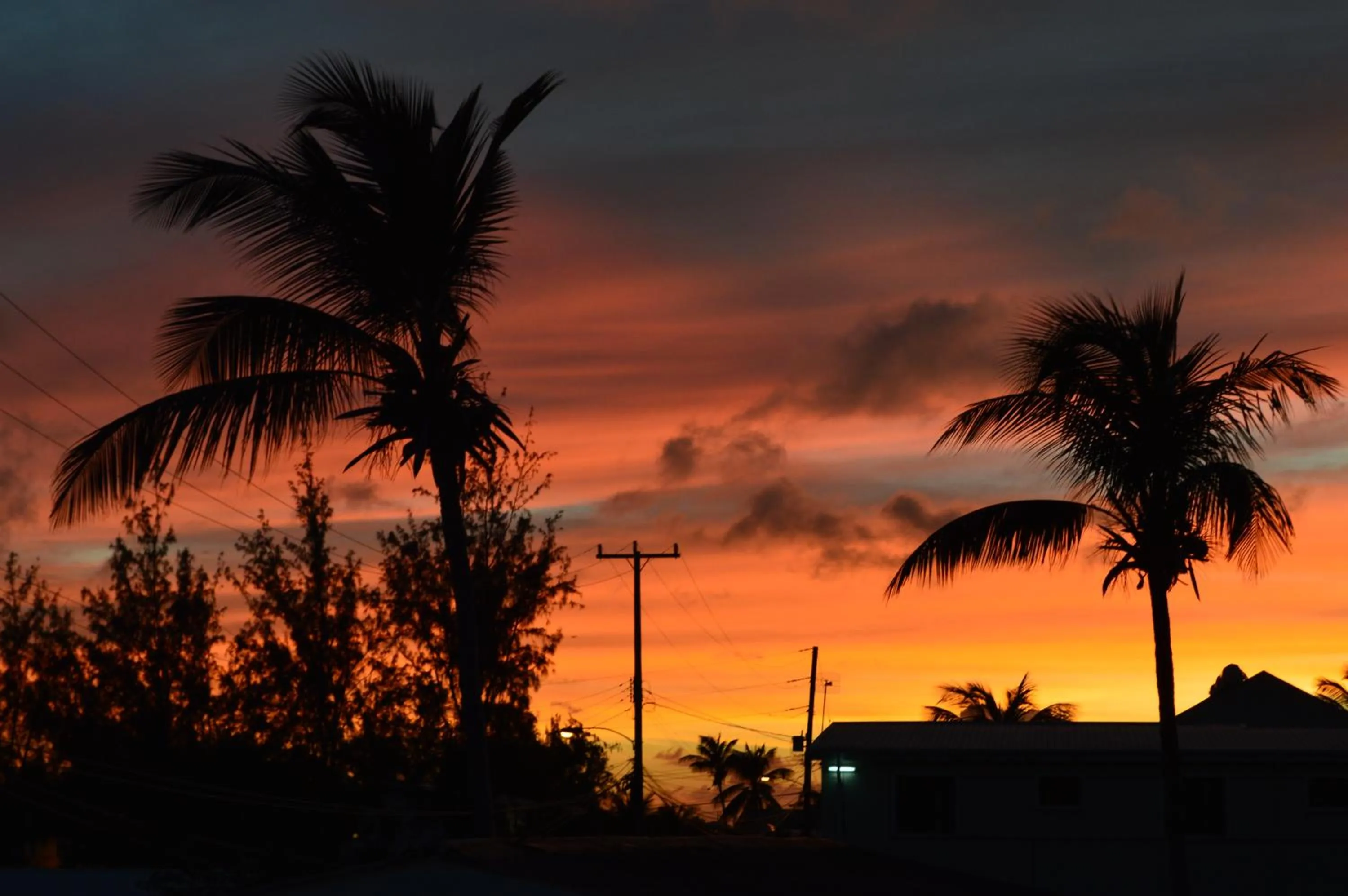 Sunset in White Coconut Studio
