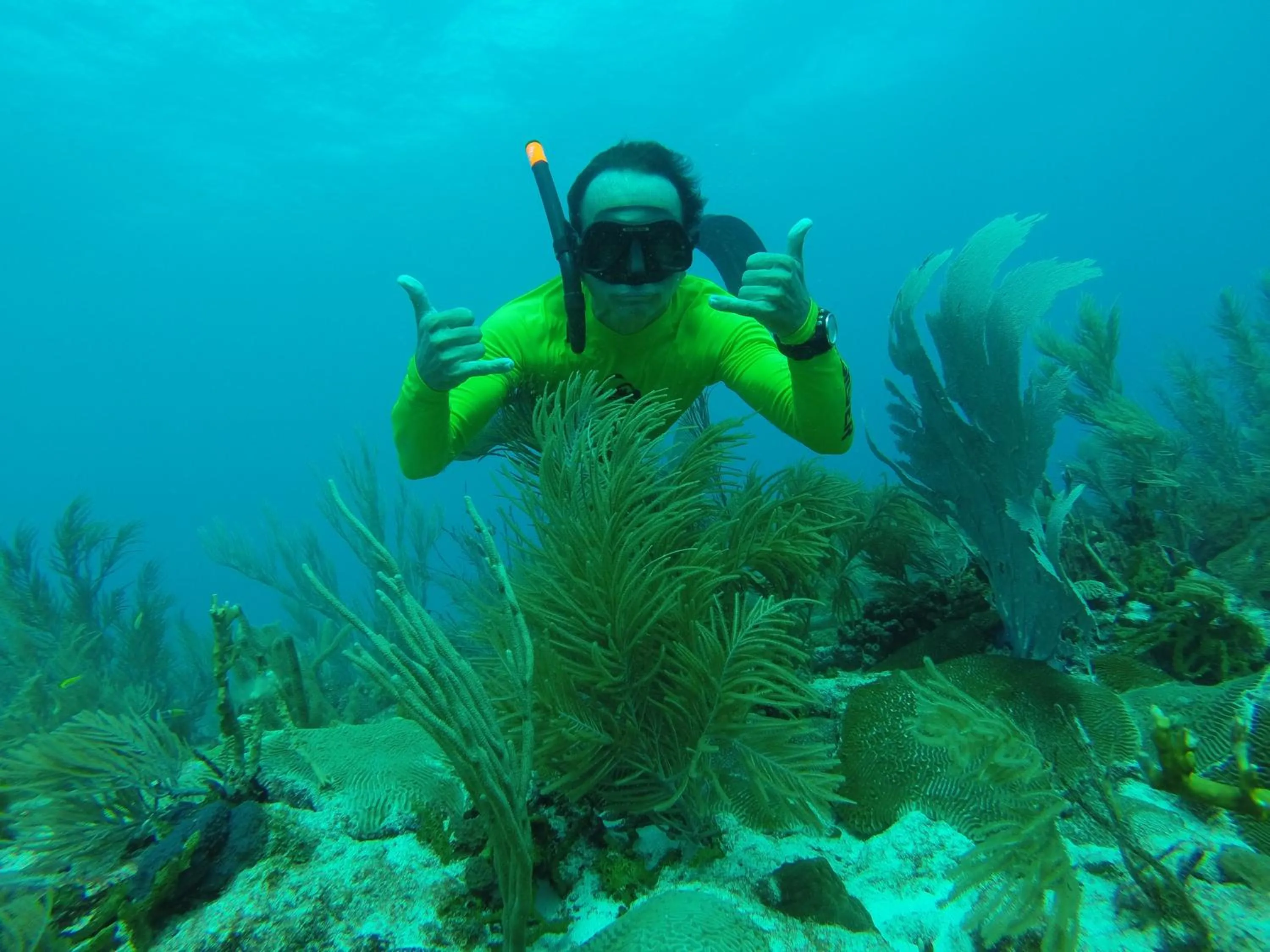 Snorkeling in White Coconut Studio
