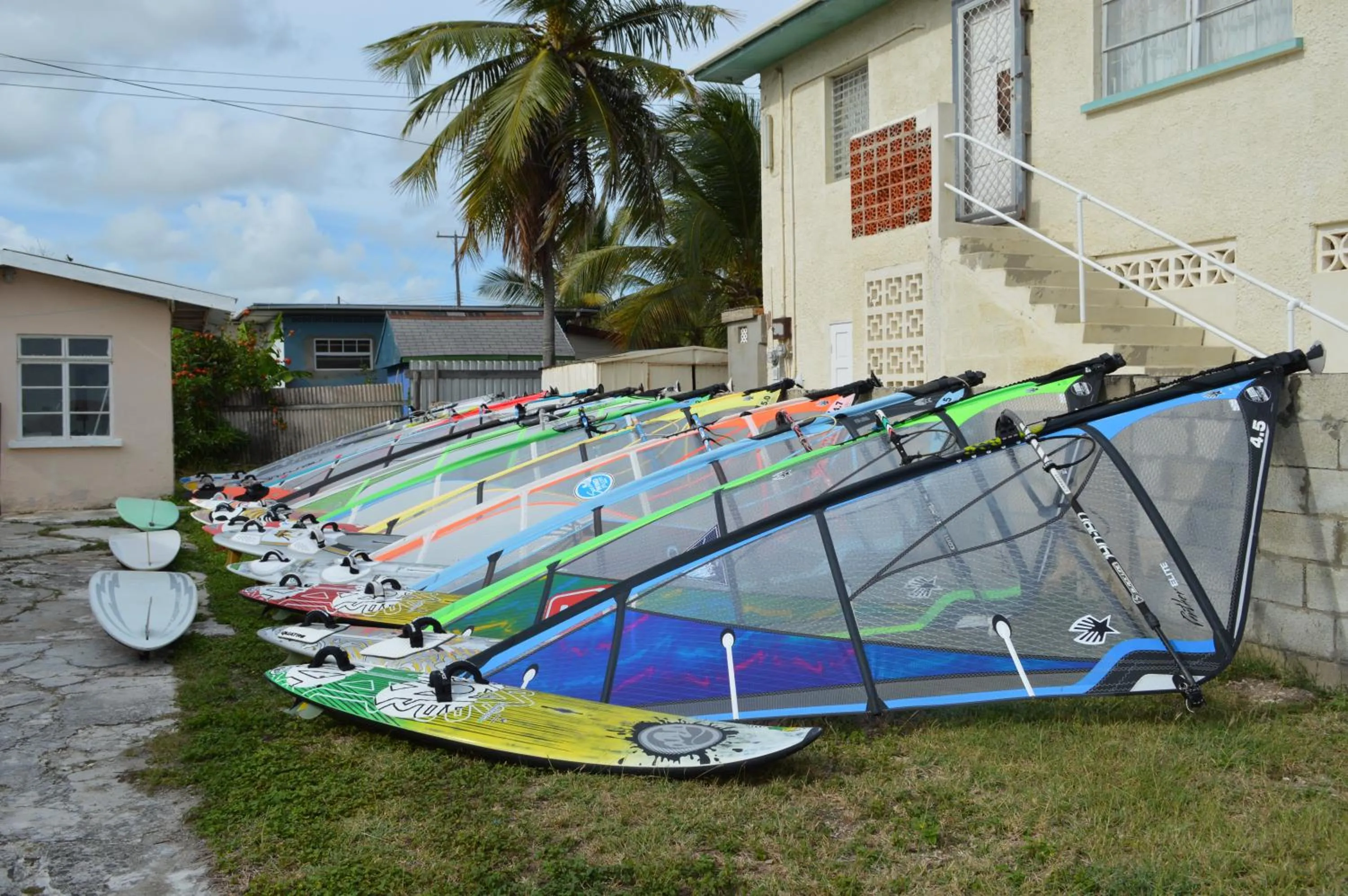 Windsurfing in White Coconut Studio