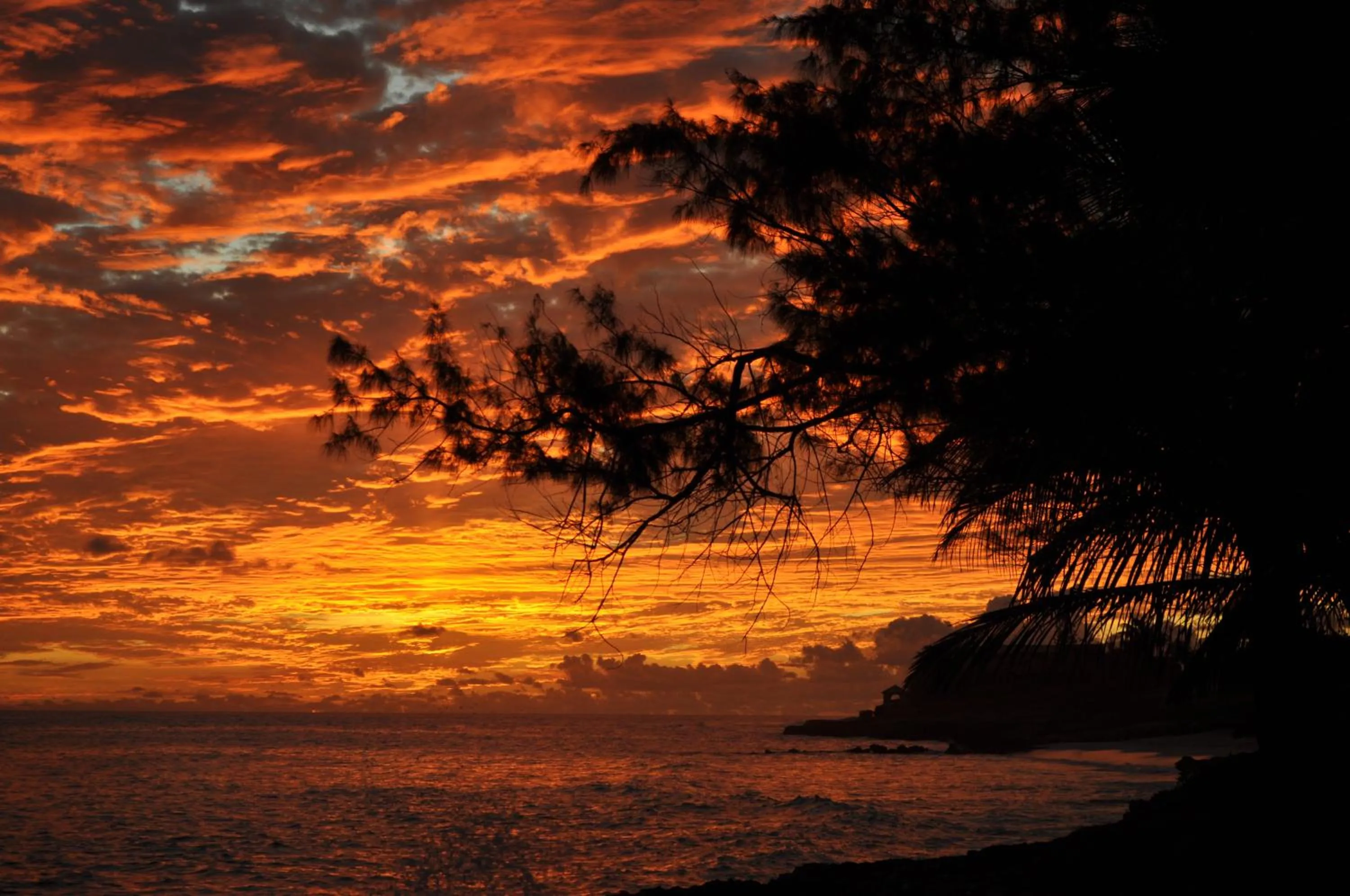 Sunset in White Coconut Studio