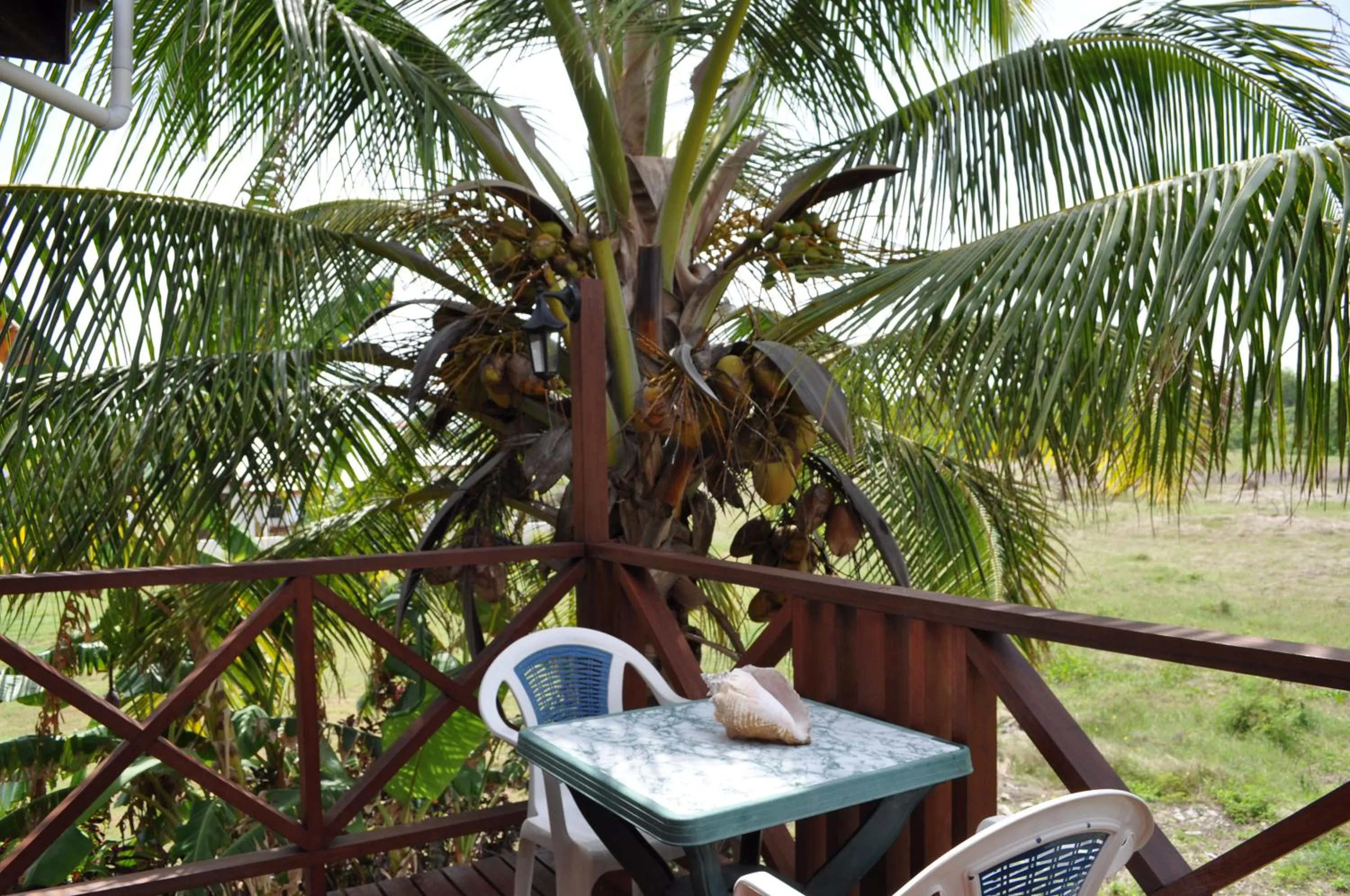 Balcony/Terrace in White Coconut Studio