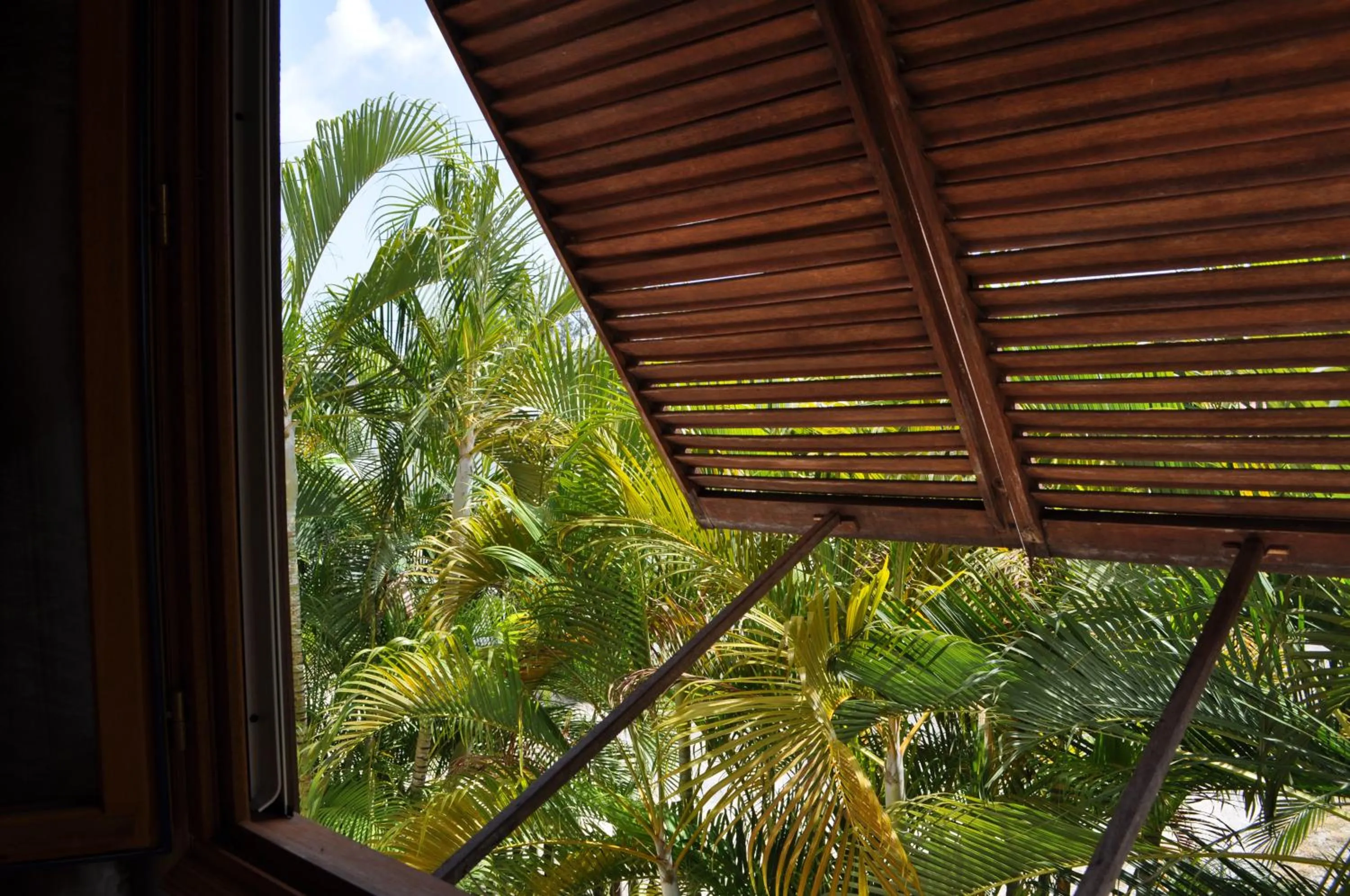 Garden in White Coconut Studio