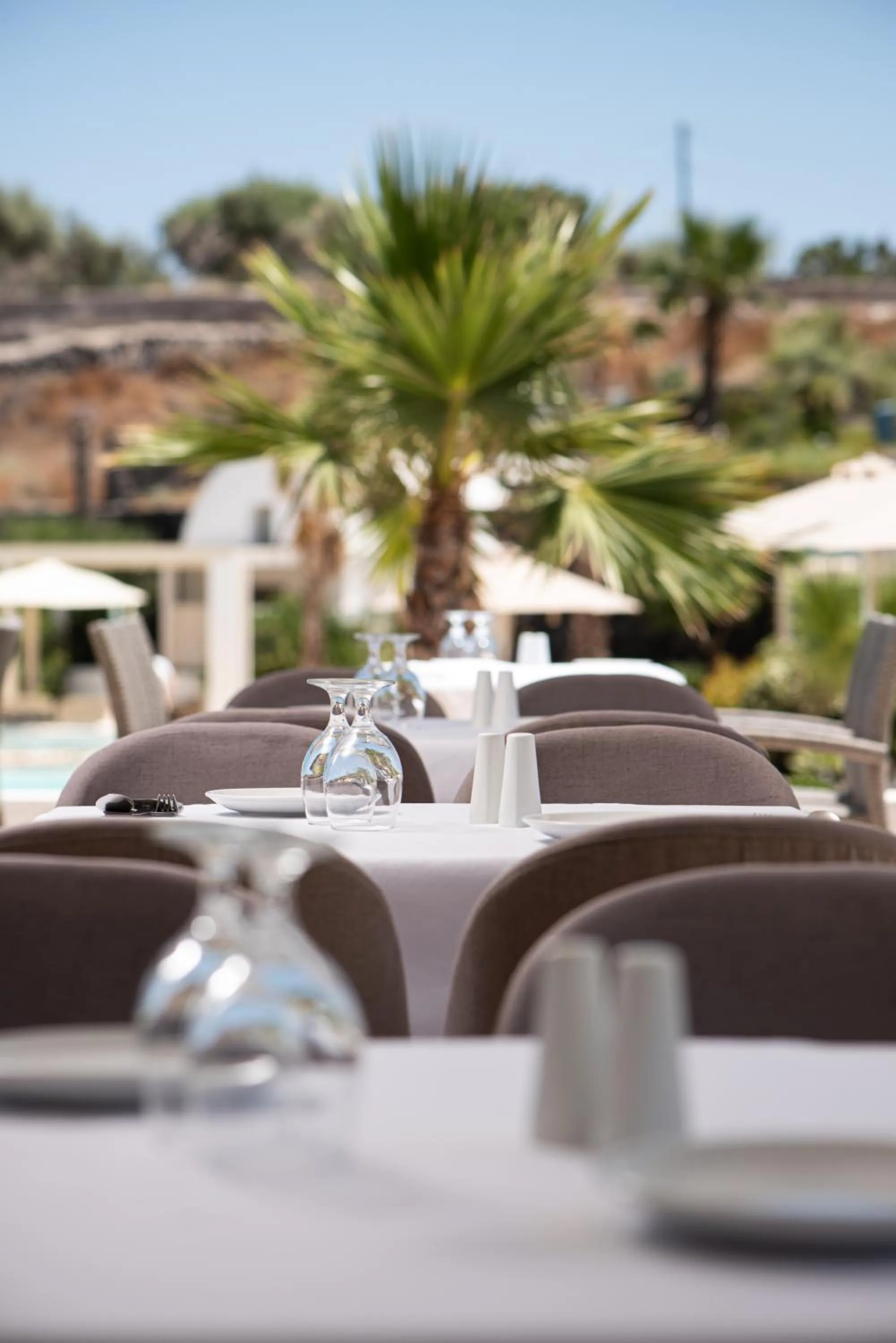 Restaurant/places to eat in Aurora Santorini