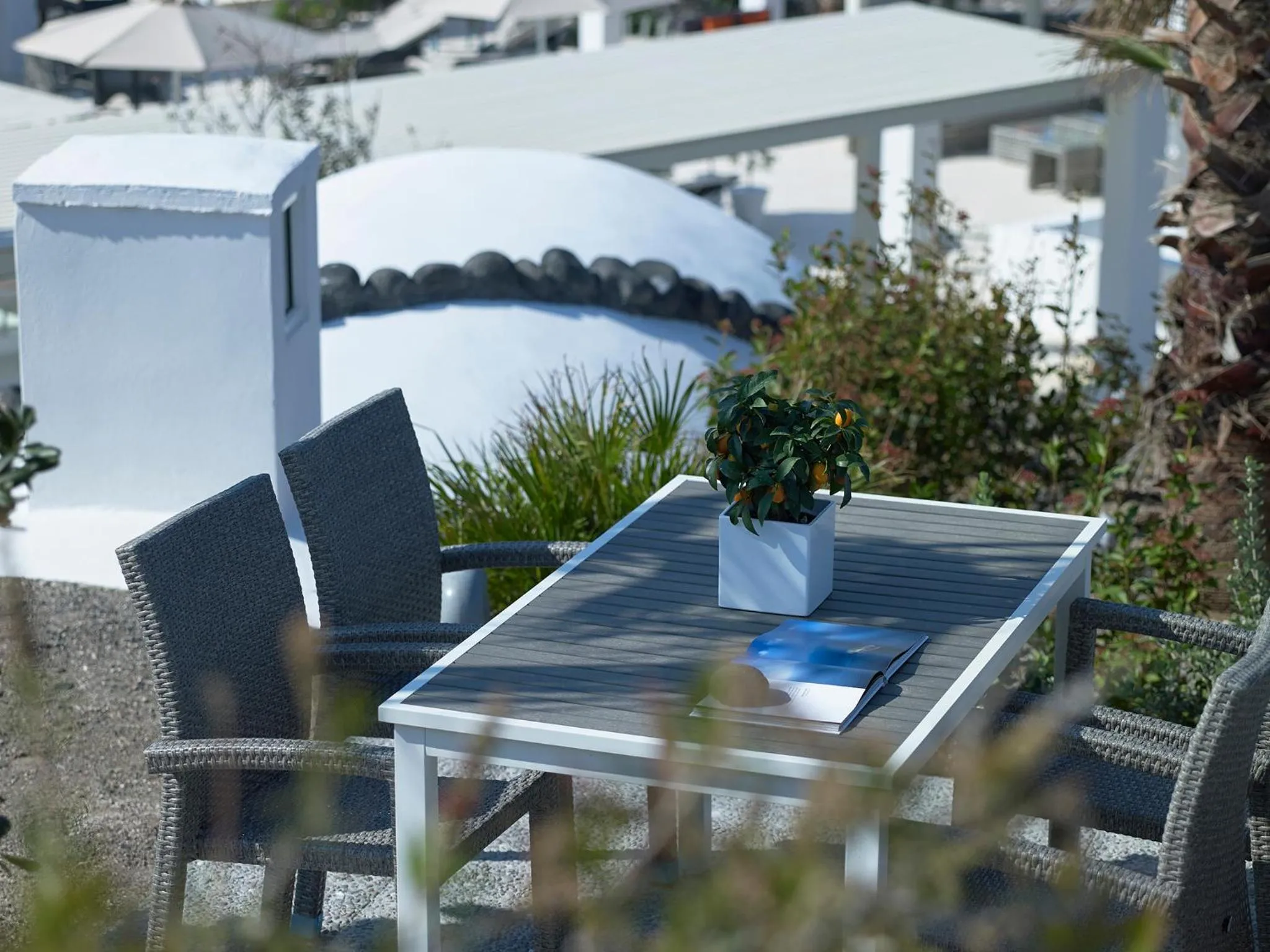 Garden in Aurora Santorini