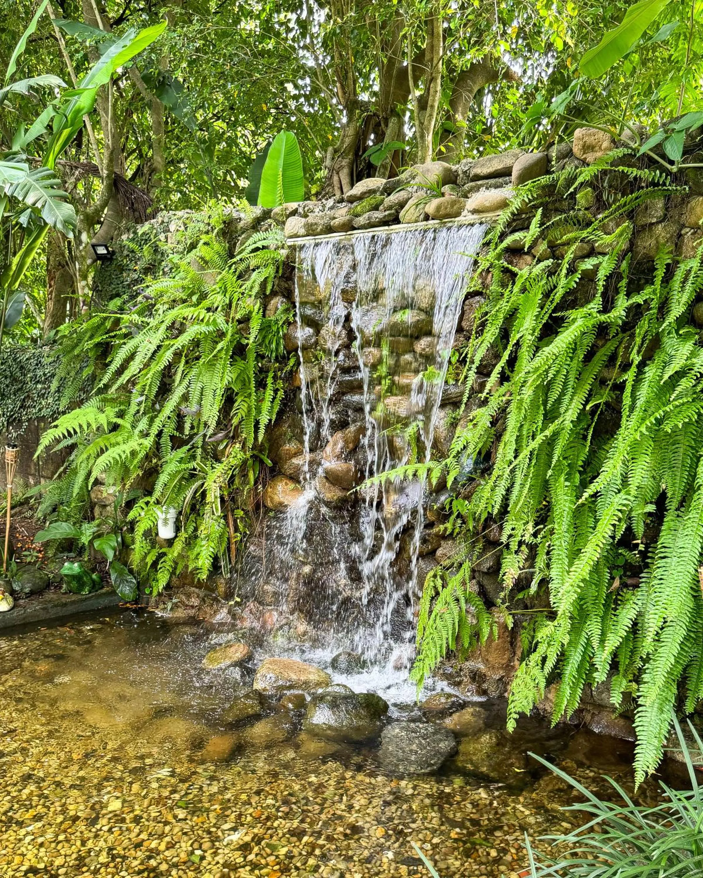 Lake view in Pousada Rumo dos Ventos