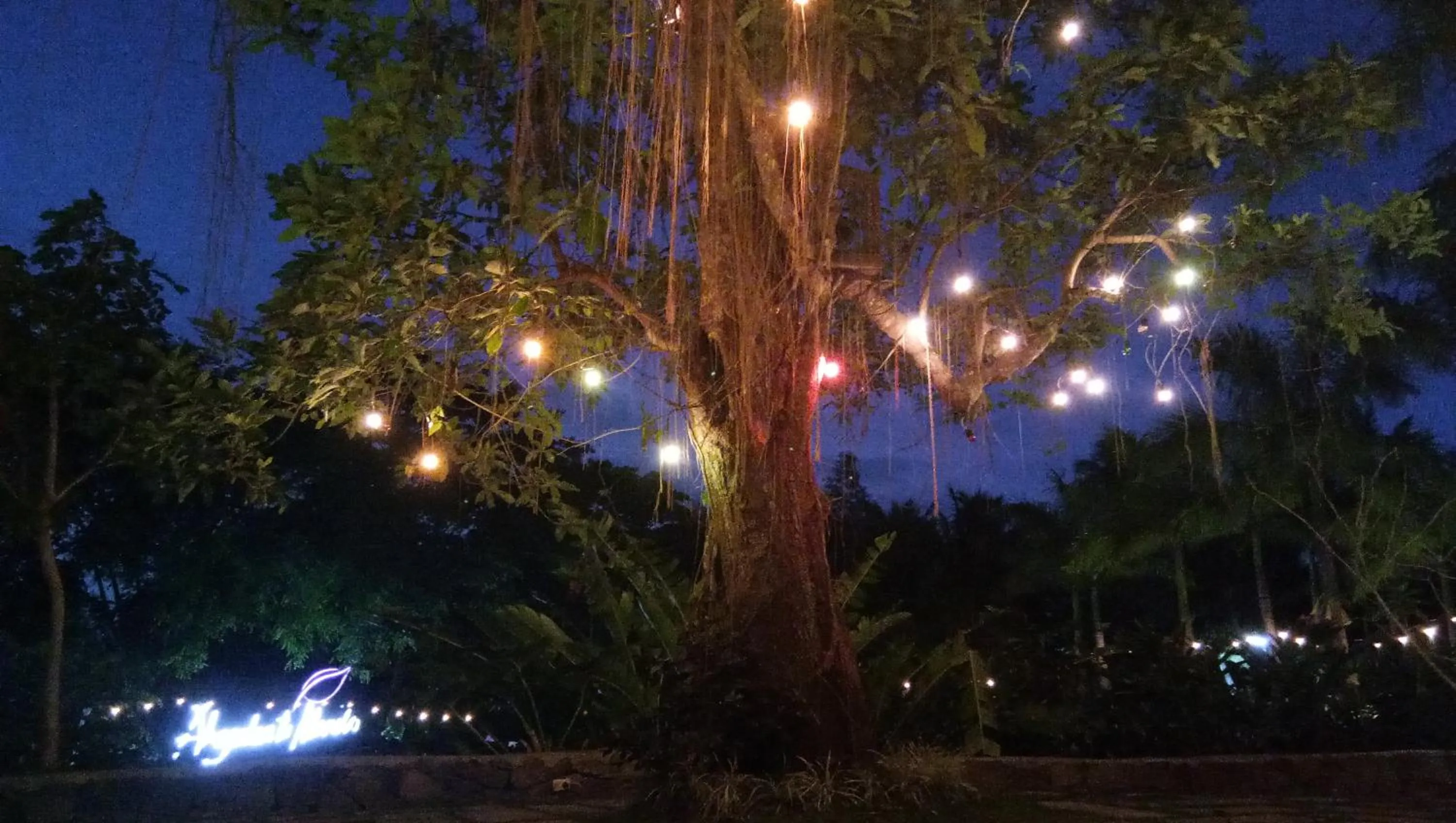 Night in Abagatan ti Manila