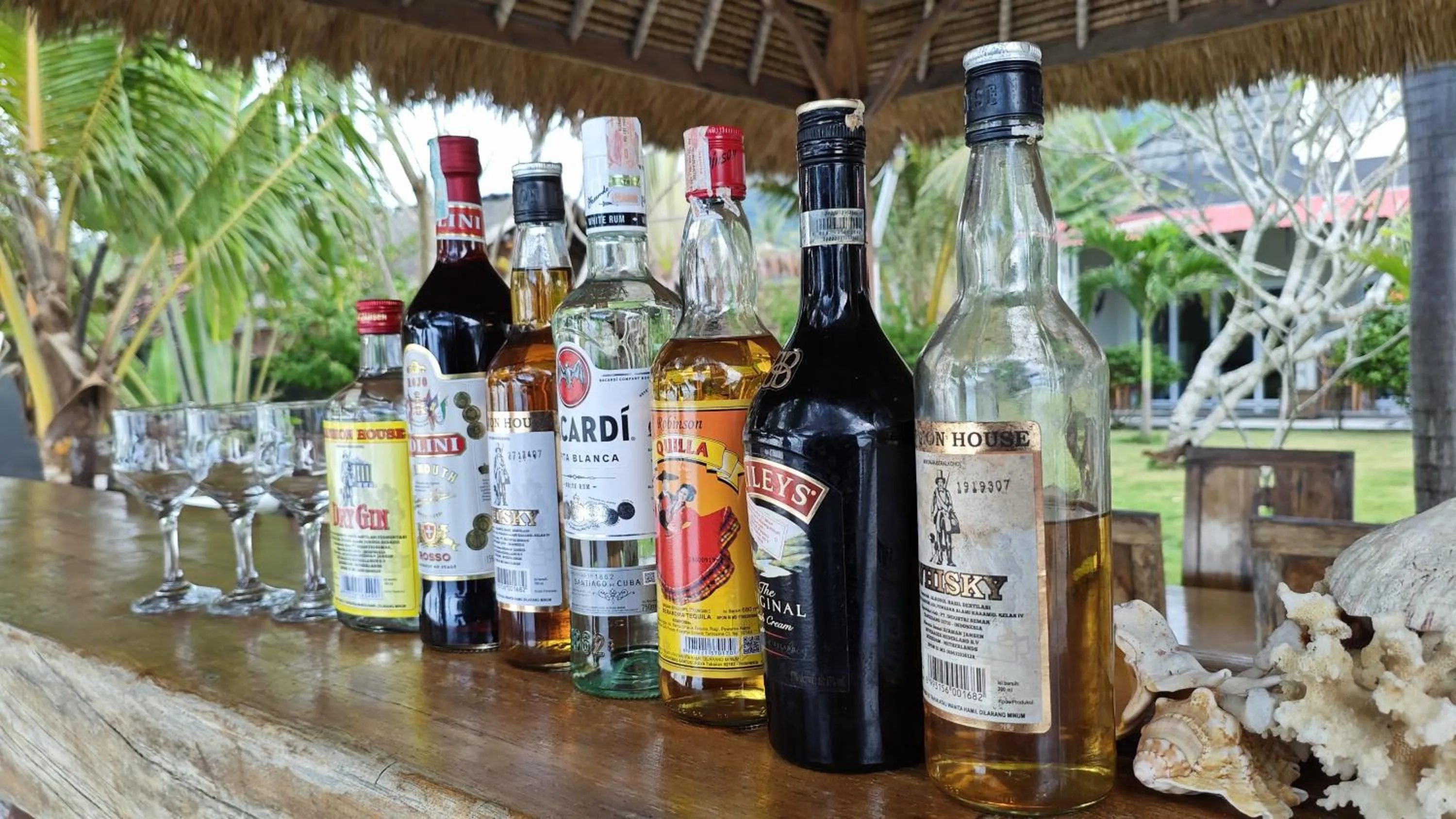 Silver Fern Beach Retreat