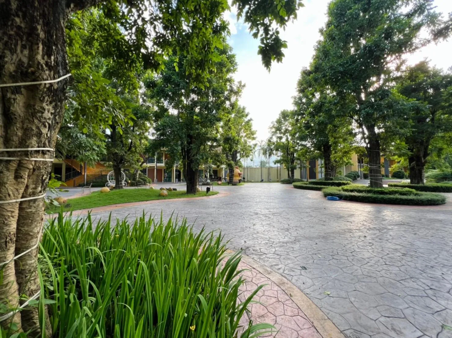 Inner courtyard view in The Room at Maesai