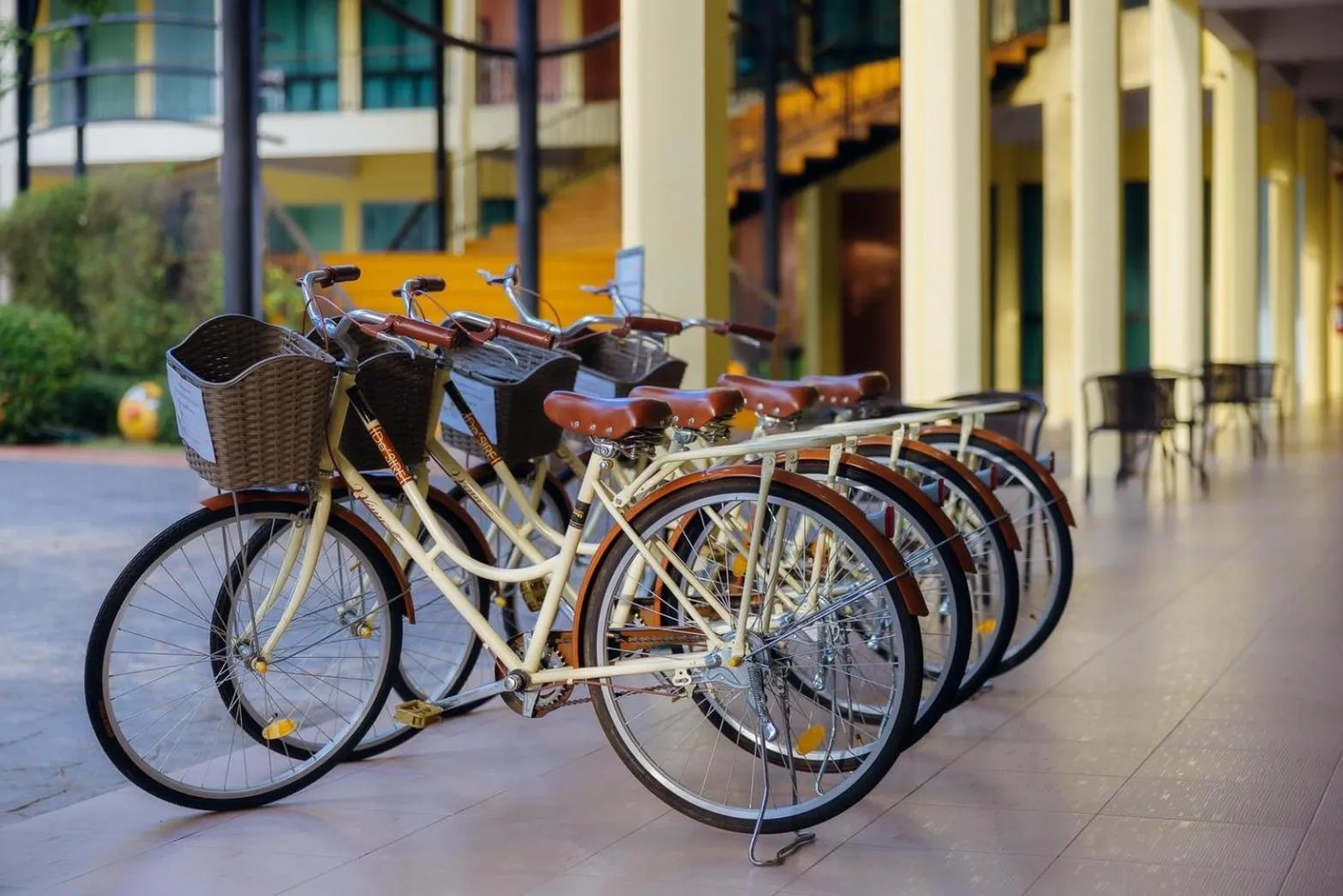 Area and facilities in The Room at Maesai