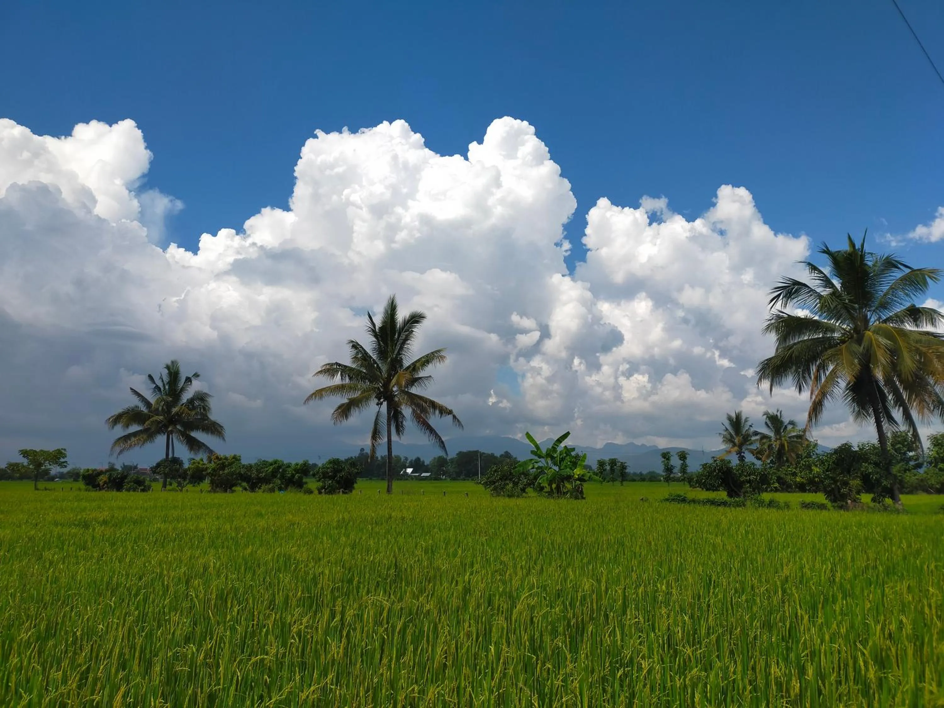 Garden view in Khoom Kam Kaew