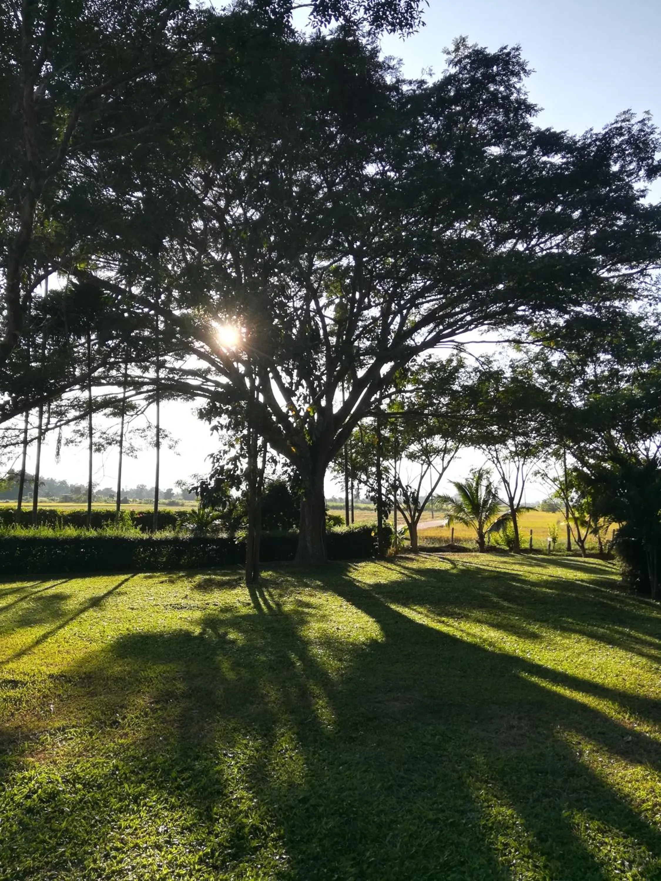 Natural landscape in Khoom Kam Kaew