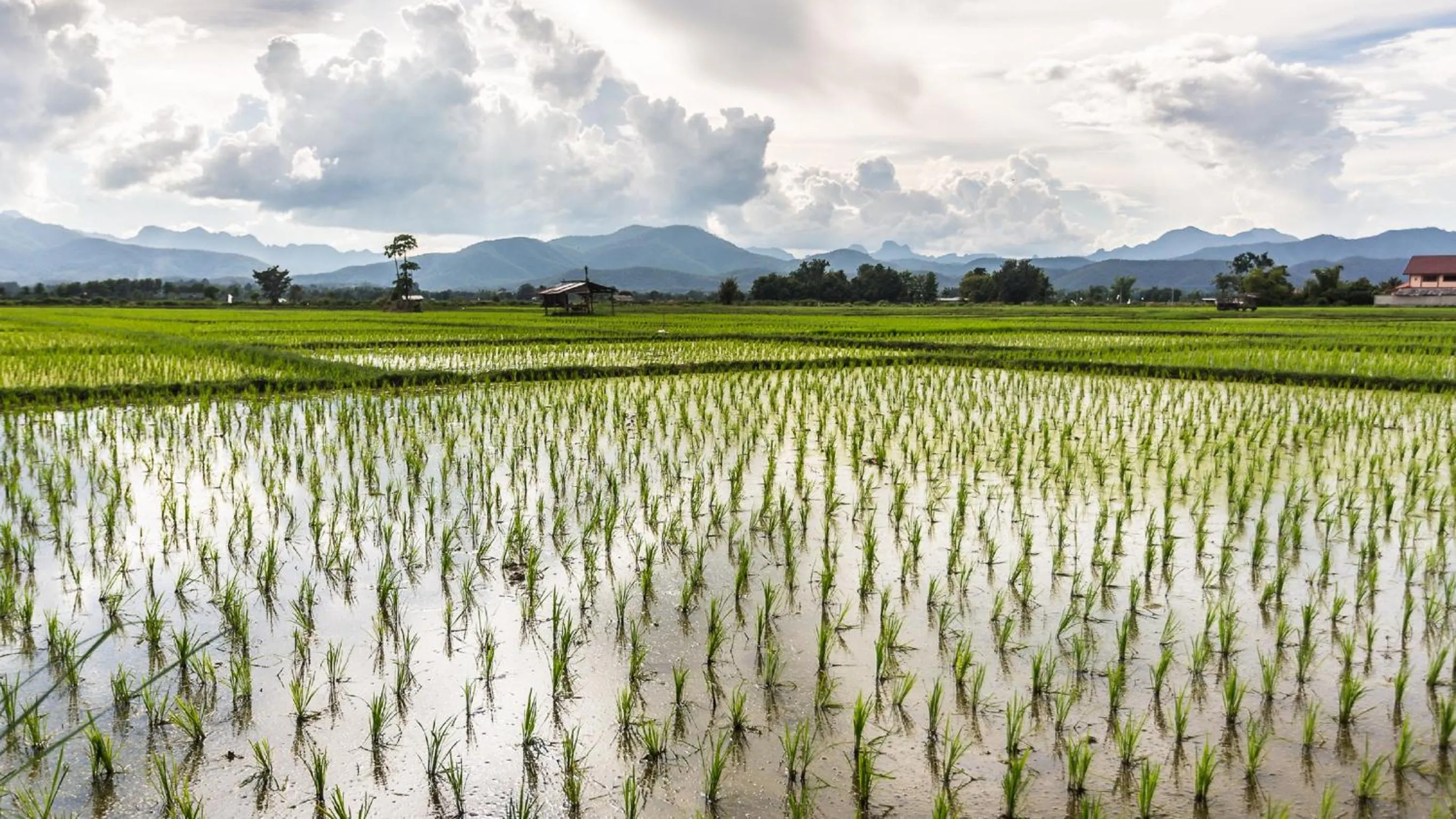 Natural landscape in Khoom Kam Kaew