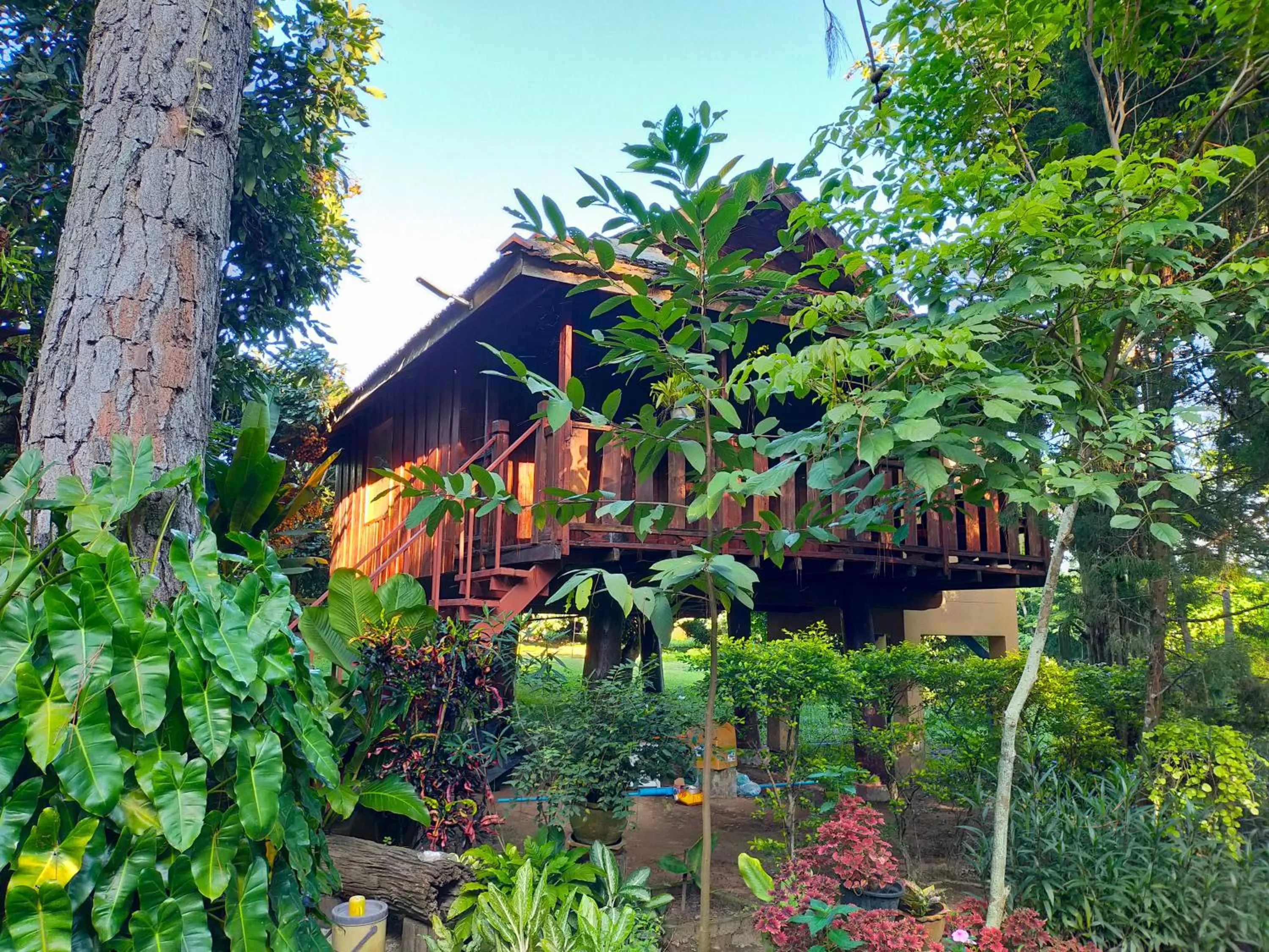 Property building in Khoom Kam Kaew