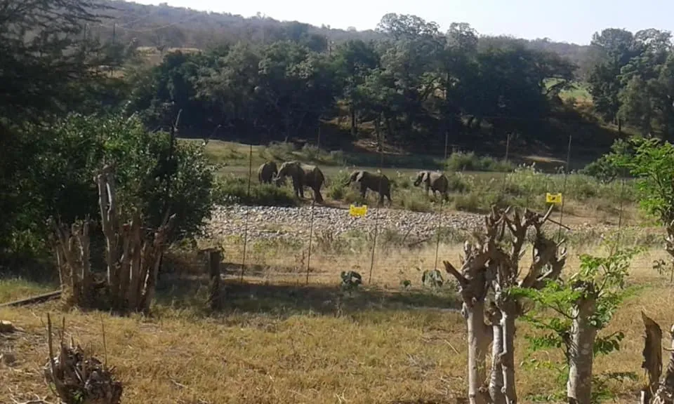 Natural landscape in Three Bridges B&B