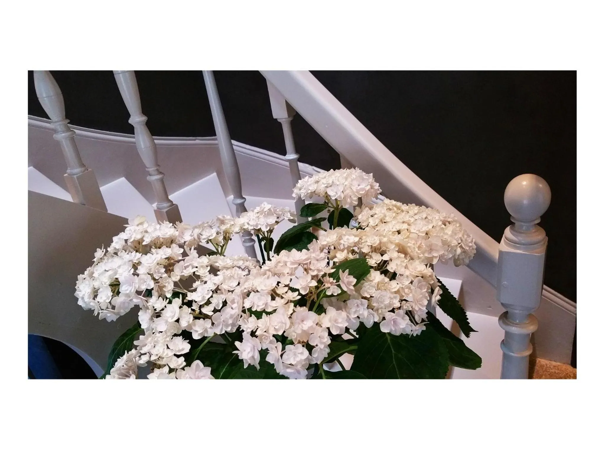 Library in La Sauternaise, luxury Boutique B&B