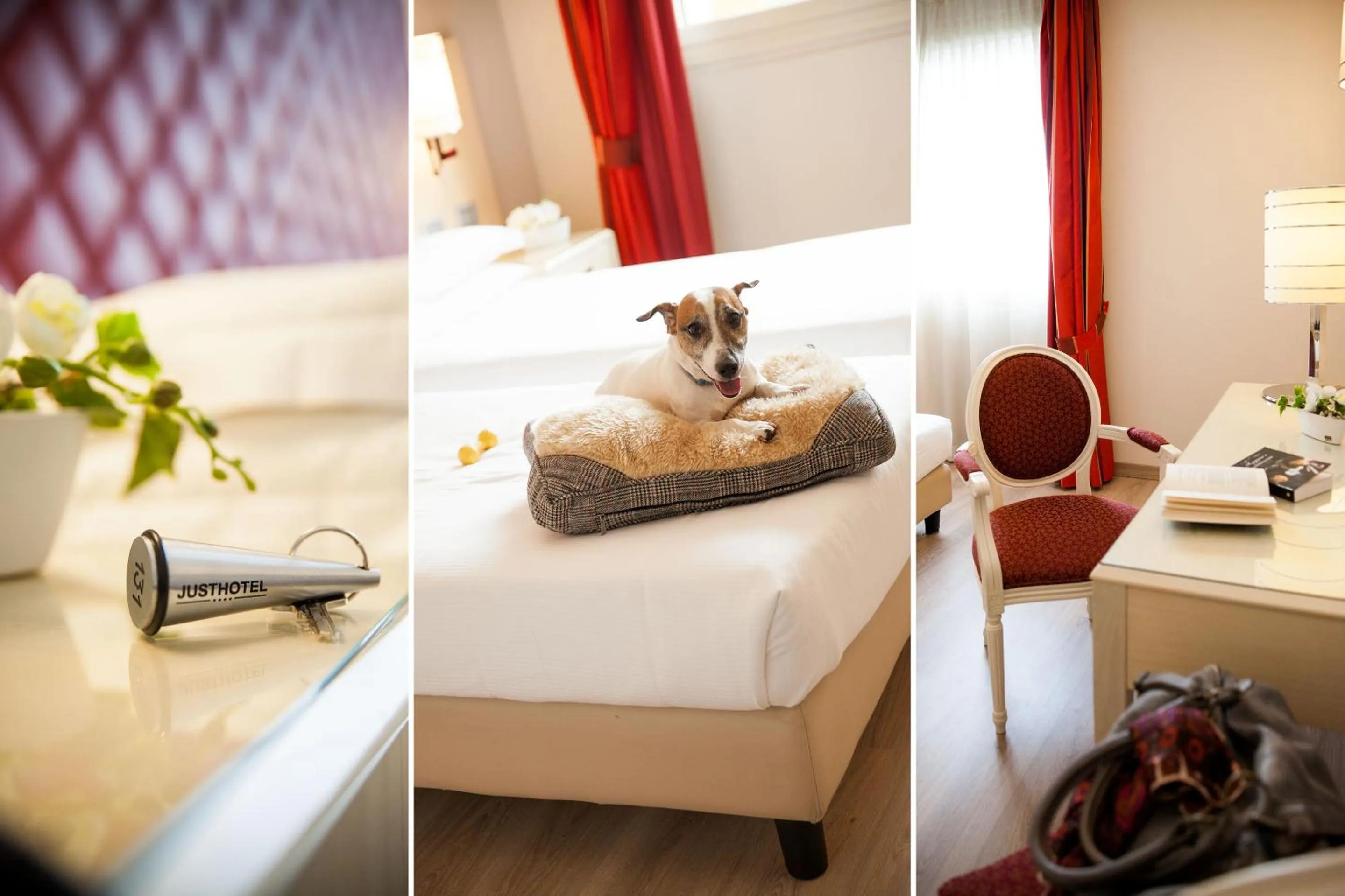 Pets, Bed in Just Hotel Lomazzo Fiera