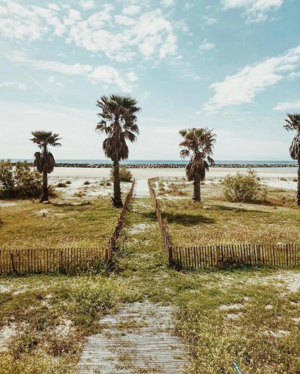 Beach in Hôtel de la Plage