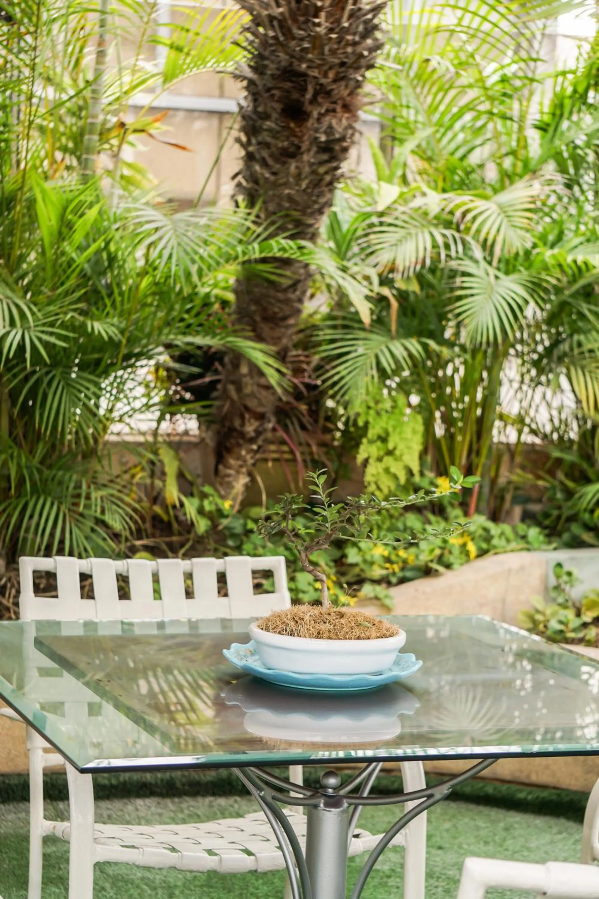 Patio in Daniel's Apart Hotel