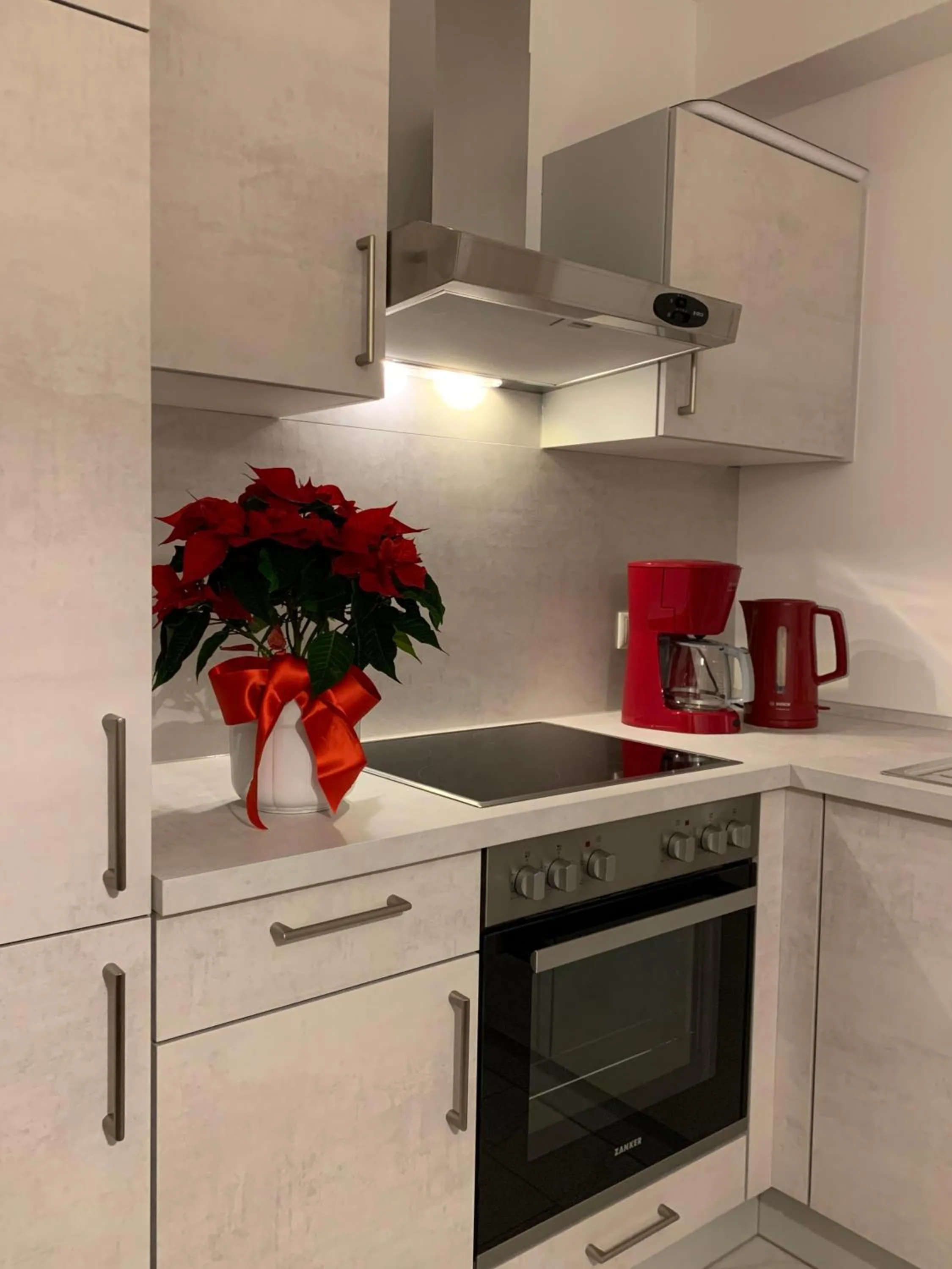 pet friendly in Ferienwohnung "an der Wiesent"
