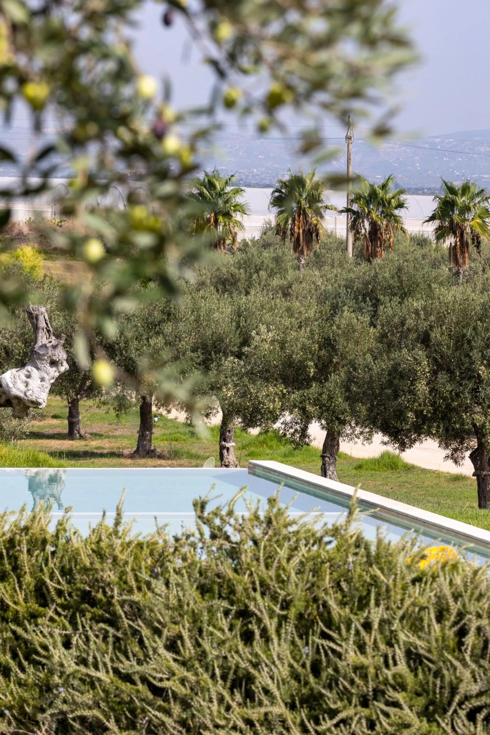 Swimming pool in Agua Green Resort