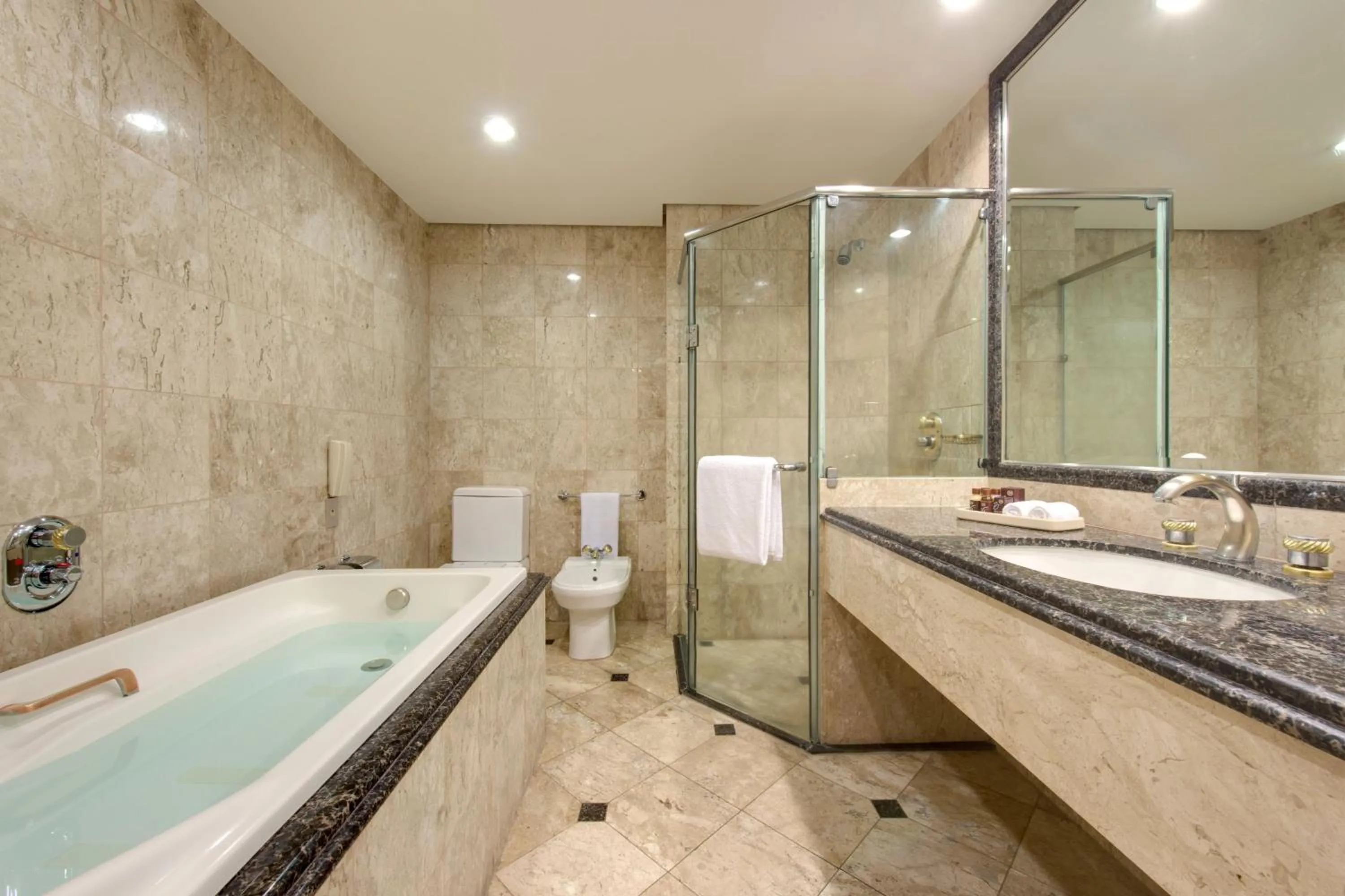 Bathroom in Sheraton São Paulo WTC Hotel