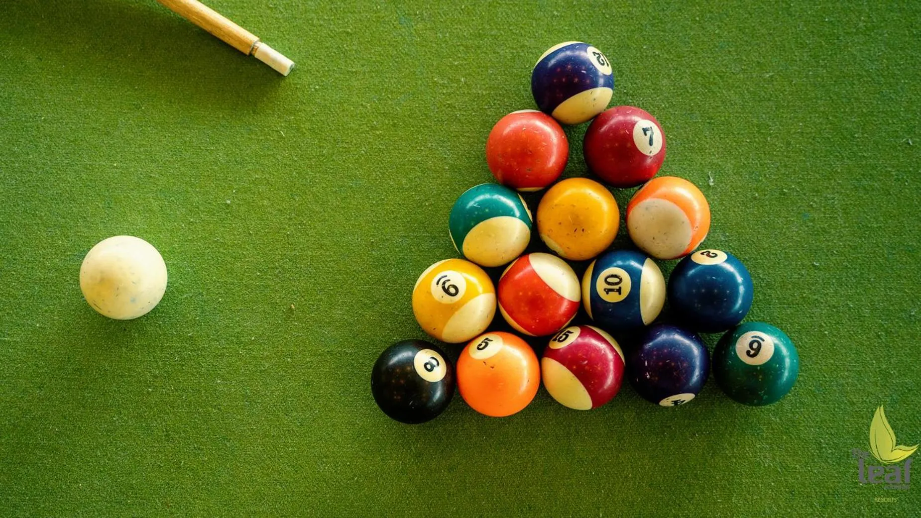Billiard in The Leaf Munnar