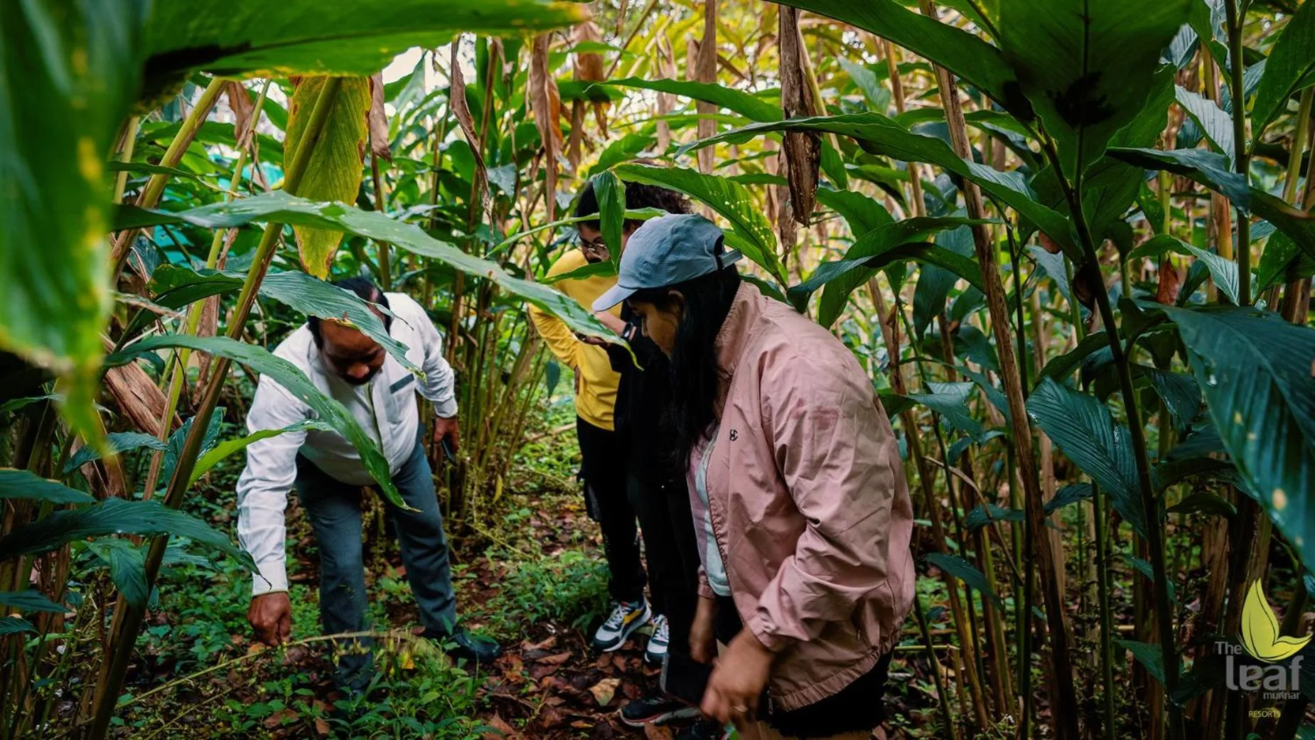 People in The Leaf Munnar