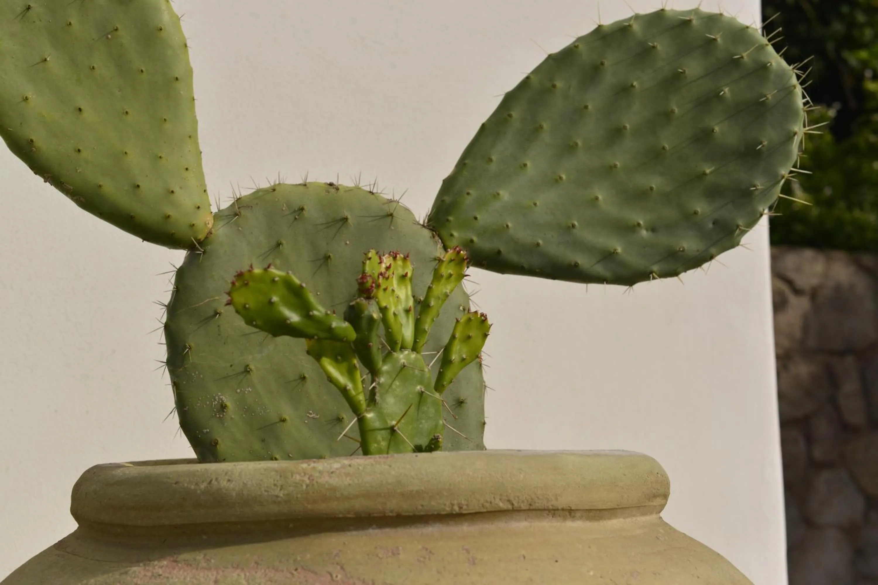 Floor plan in Residence Hotel Baia Portinenti