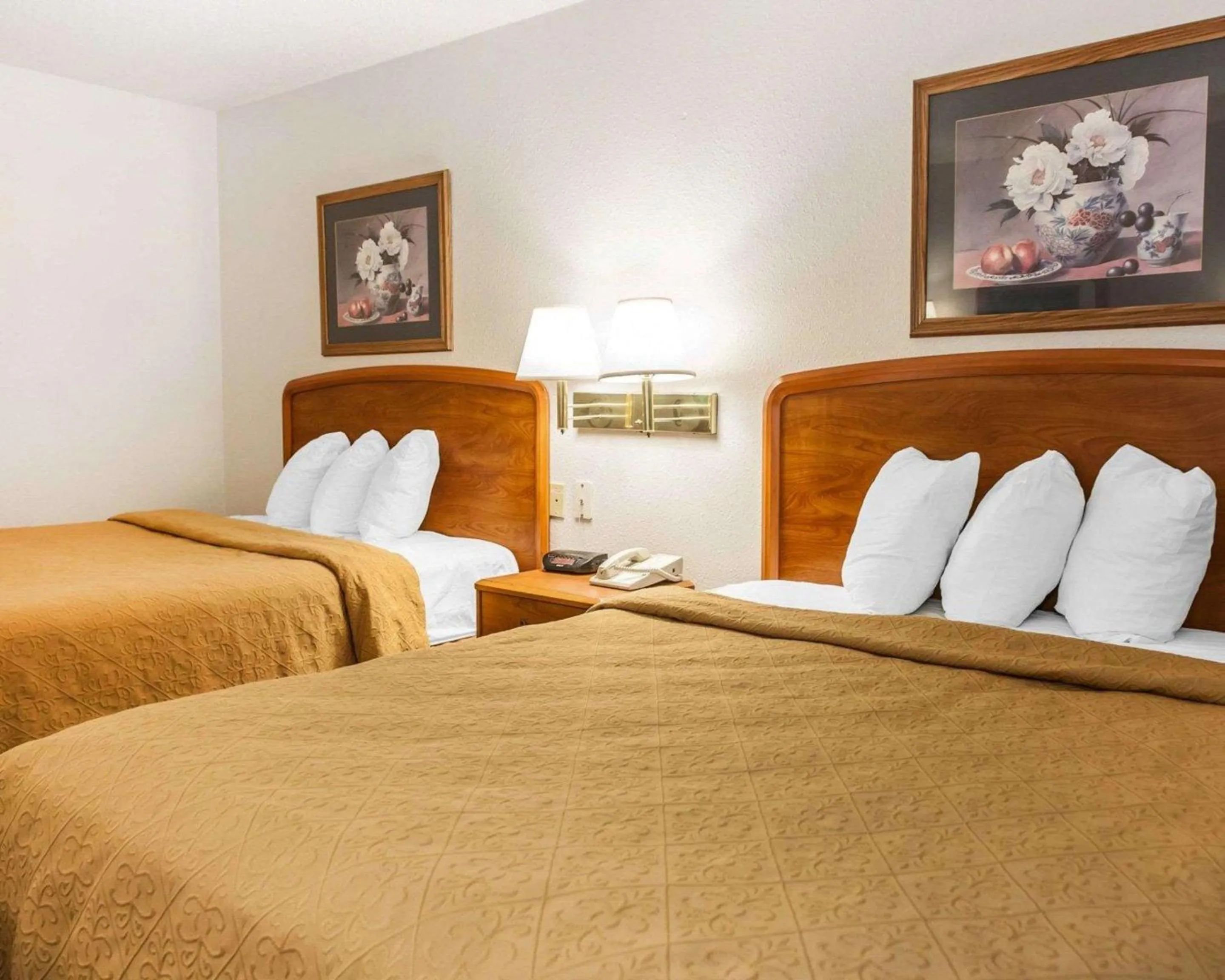 Photo of the whole room, Bed in Quality Inn South