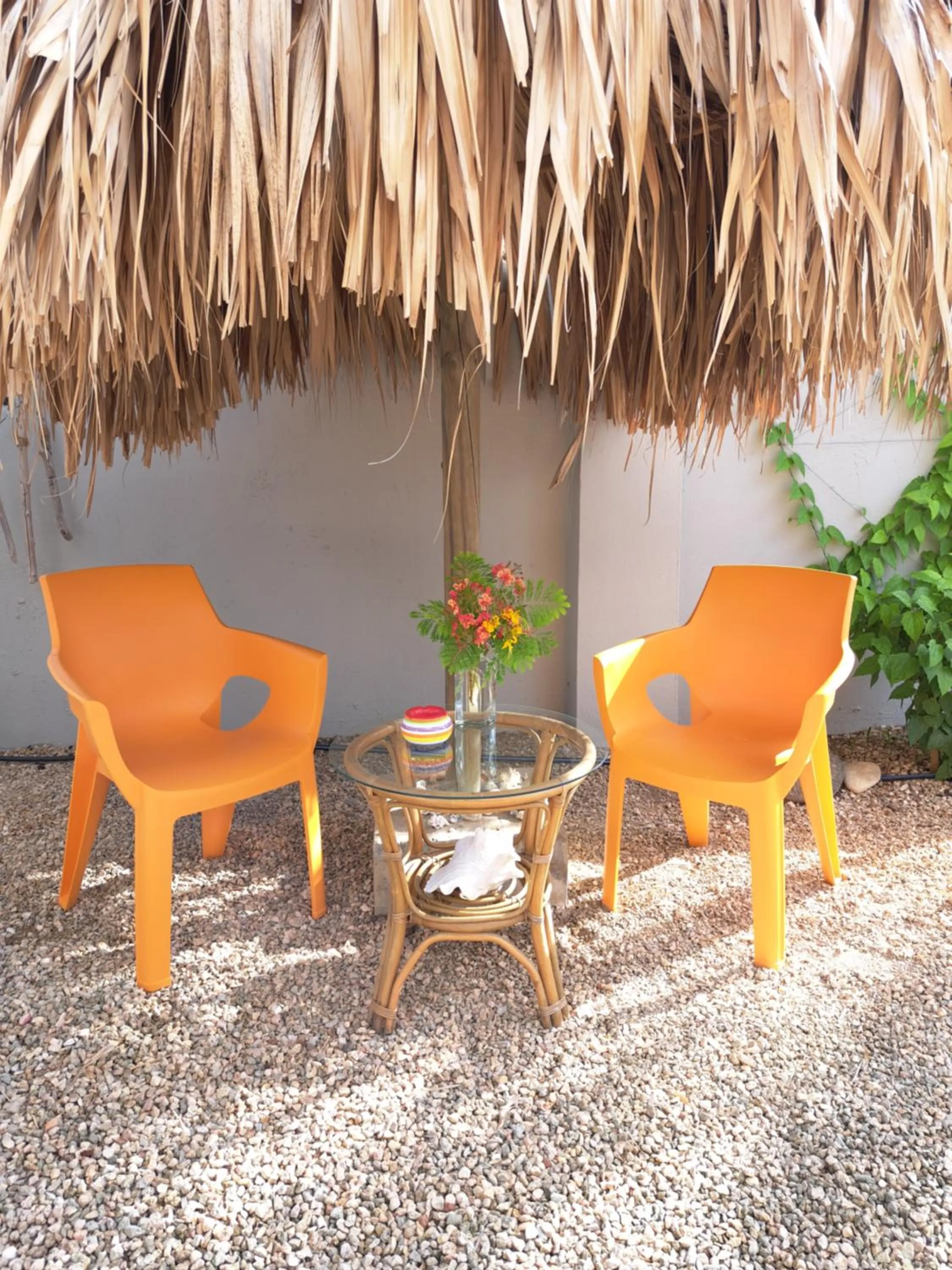 Garden in BnBBonaire near the ocean