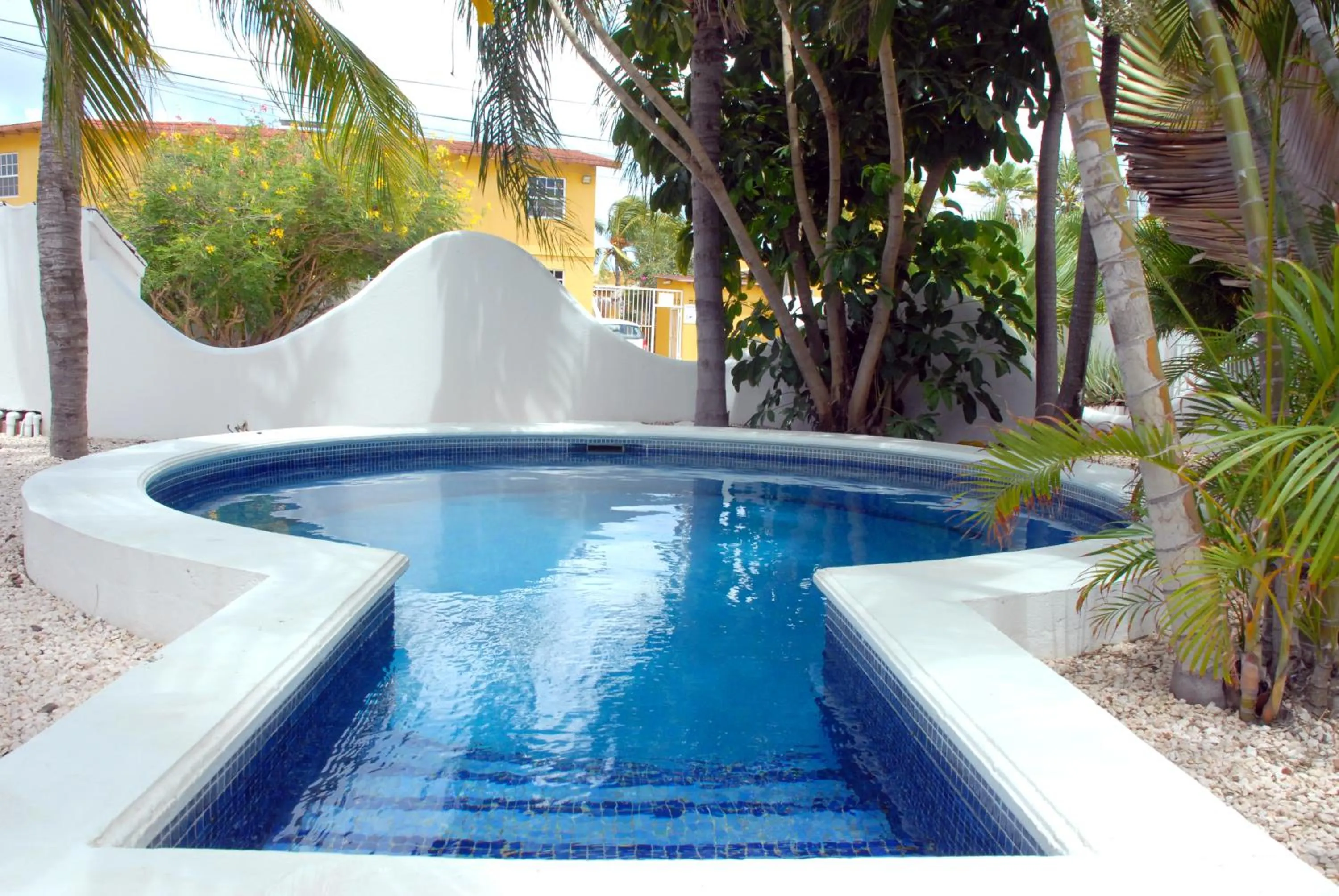 Swimming pool in BnBBonaire near the ocean