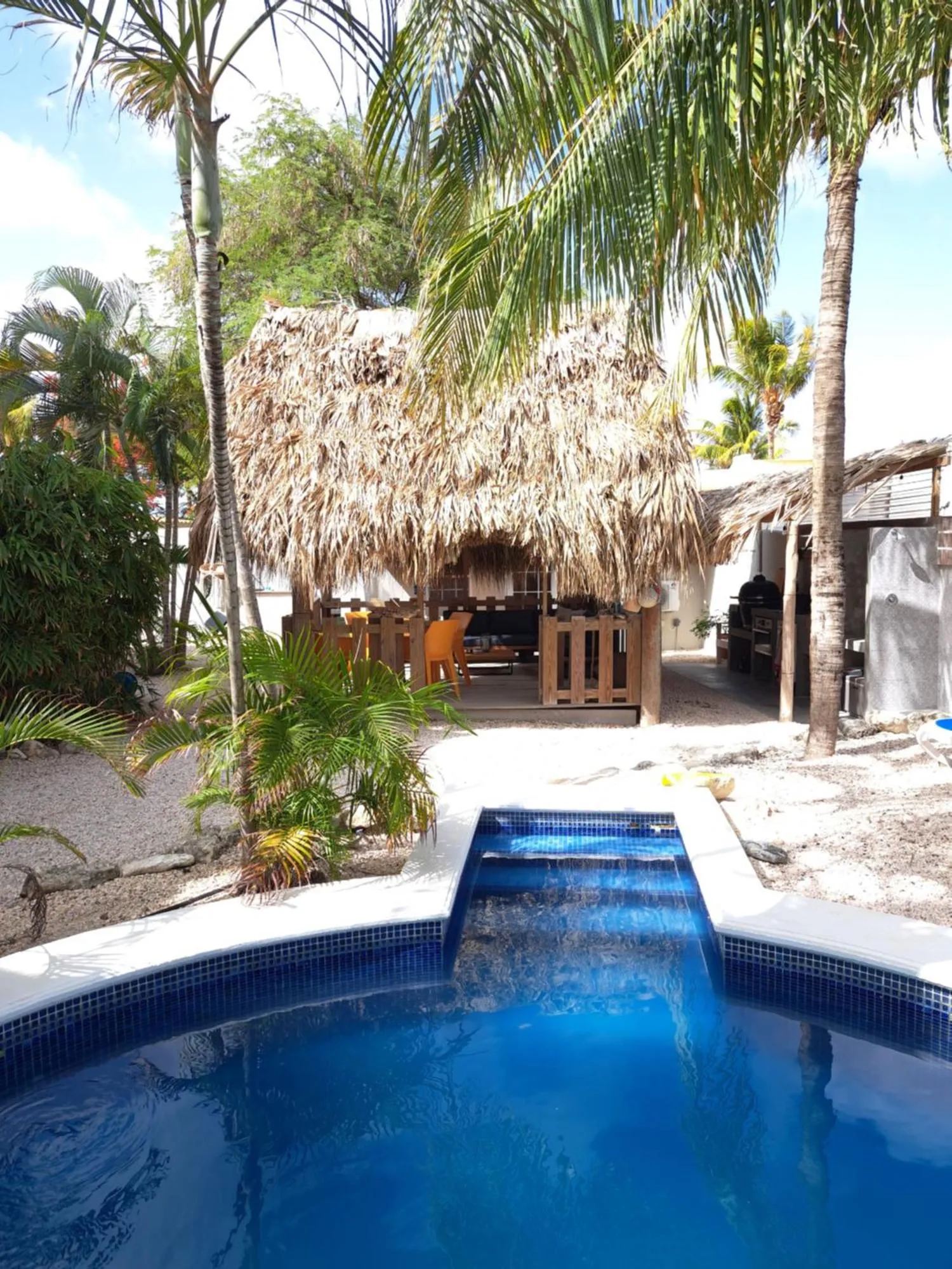 Garden in BnBBonaire near the ocean