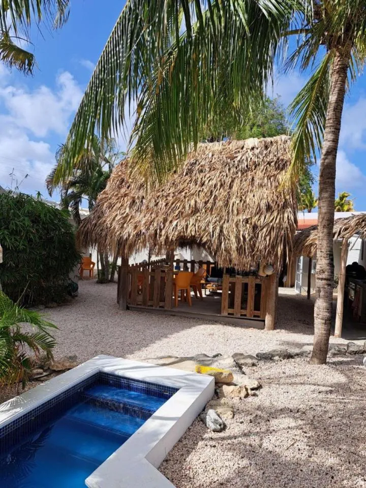 Swimming pool in BnBBonaire near the ocean