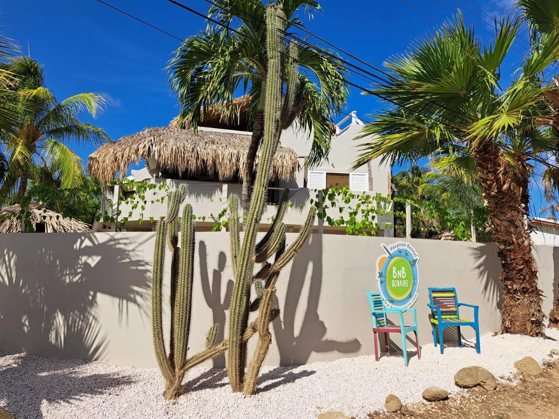 Garden in BnBBonaire near the ocean